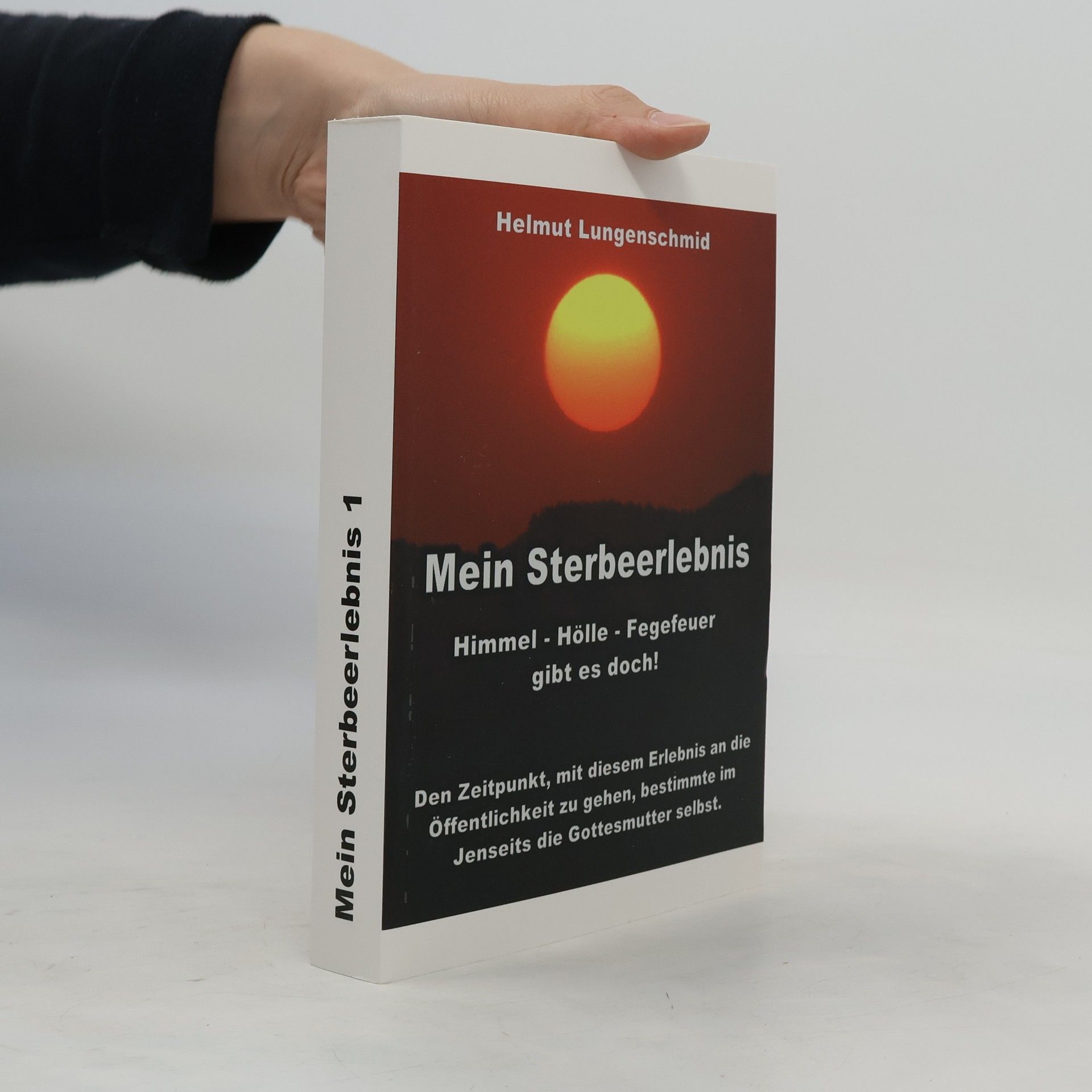 Helmut Lungenschmid Mein Sterbeerlebnis