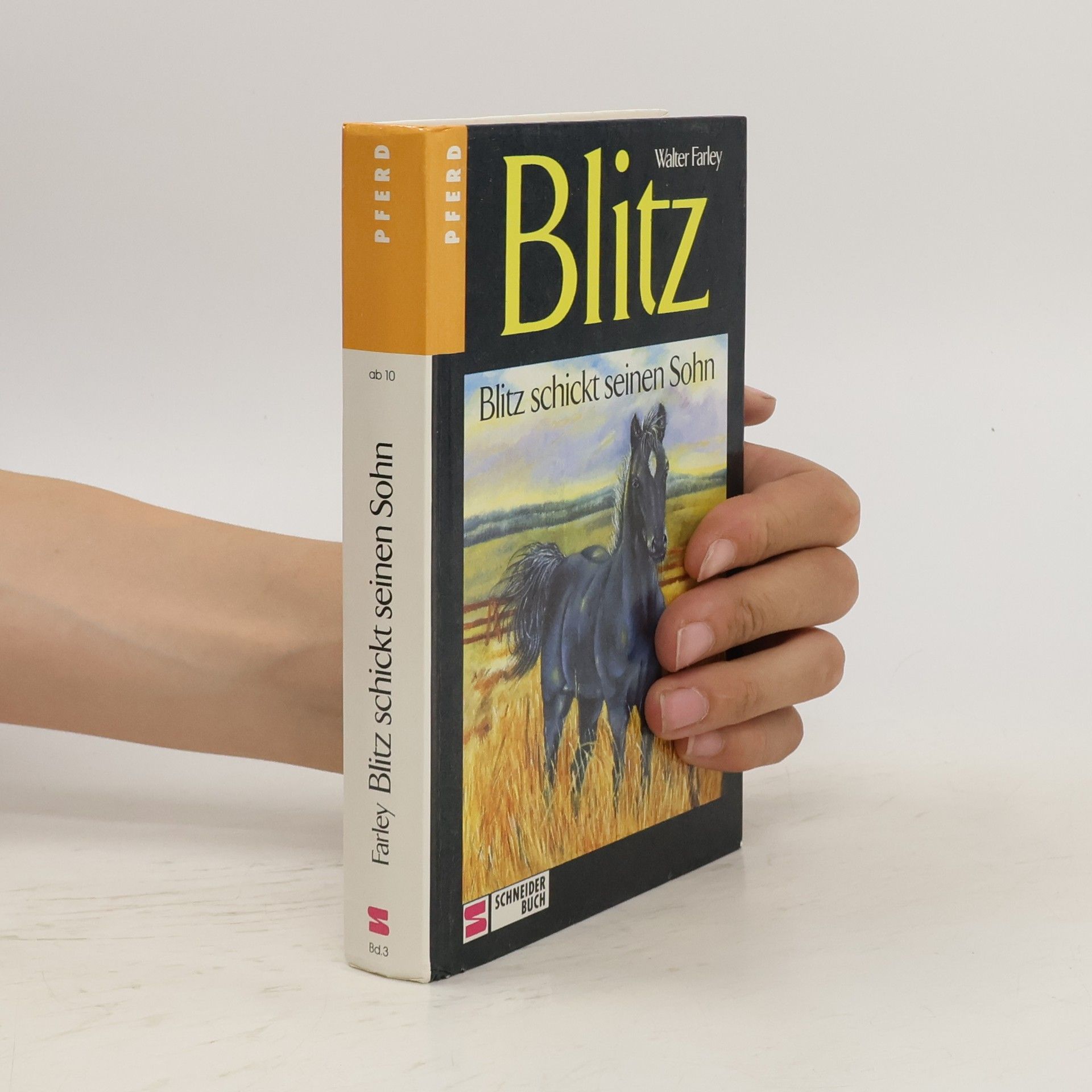 Walter Farley  Blitz schickt seinen Sohn