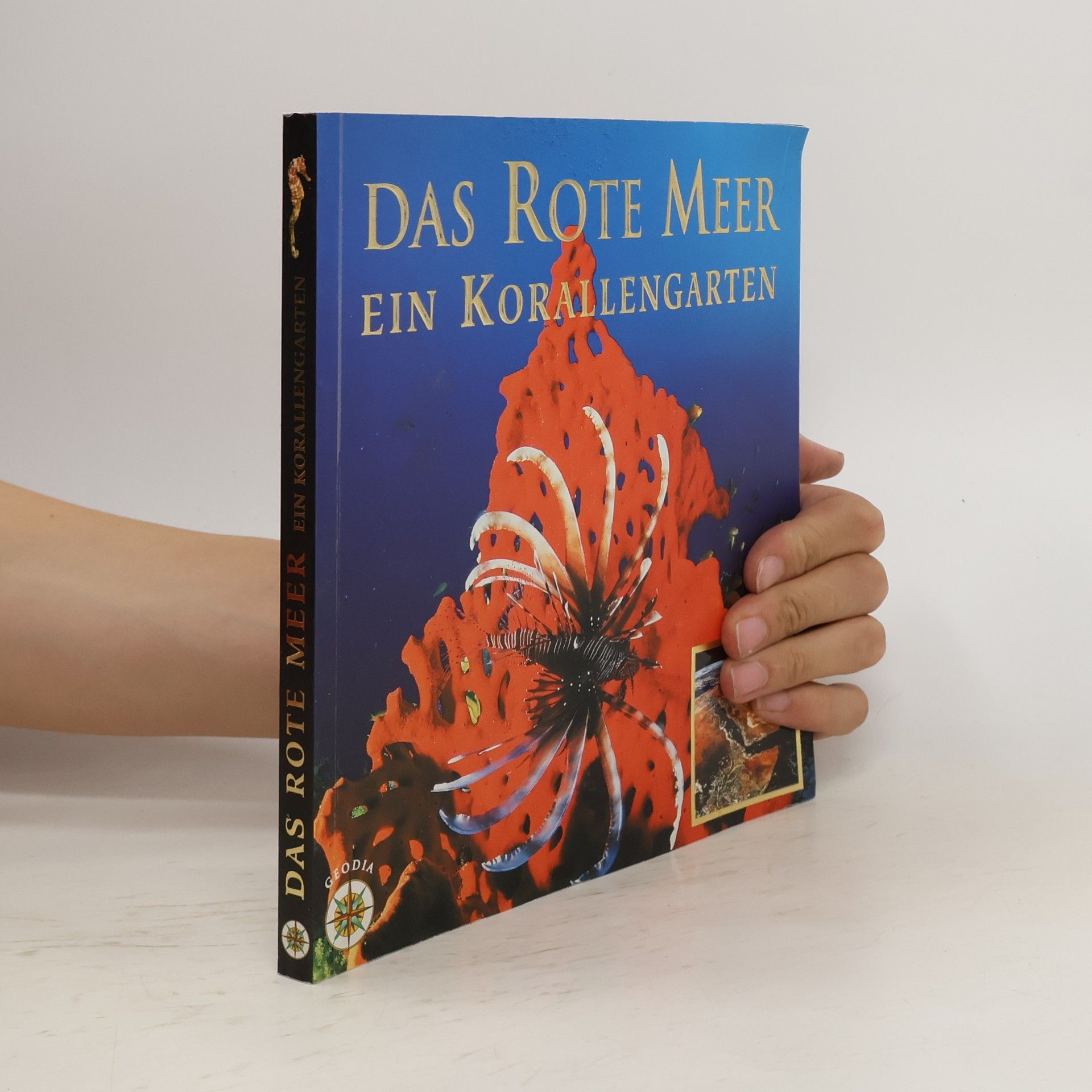 Collective Das Rote Meer. Ein Korallengarten