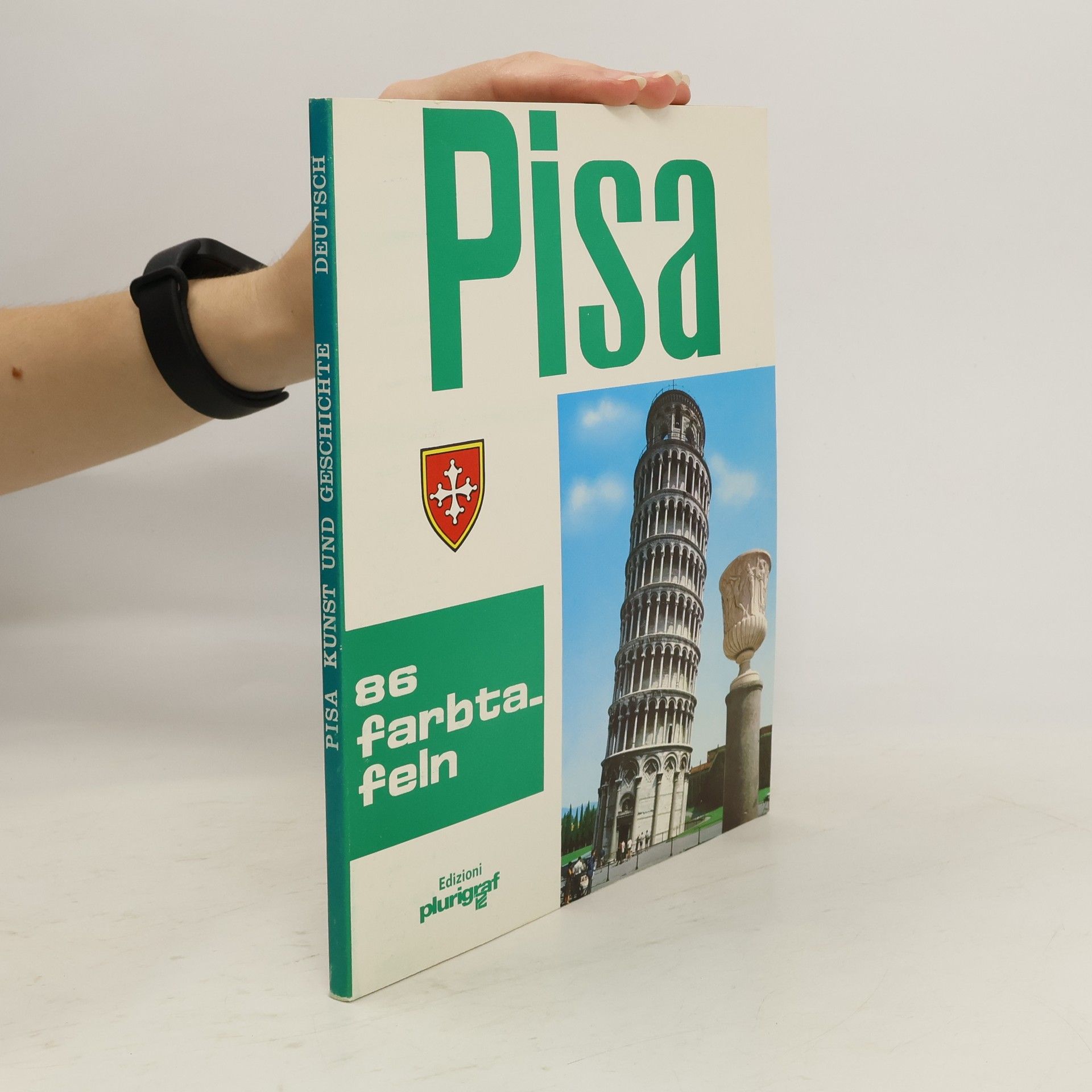 Roberto Donati Pisa Kunst und Geschichte