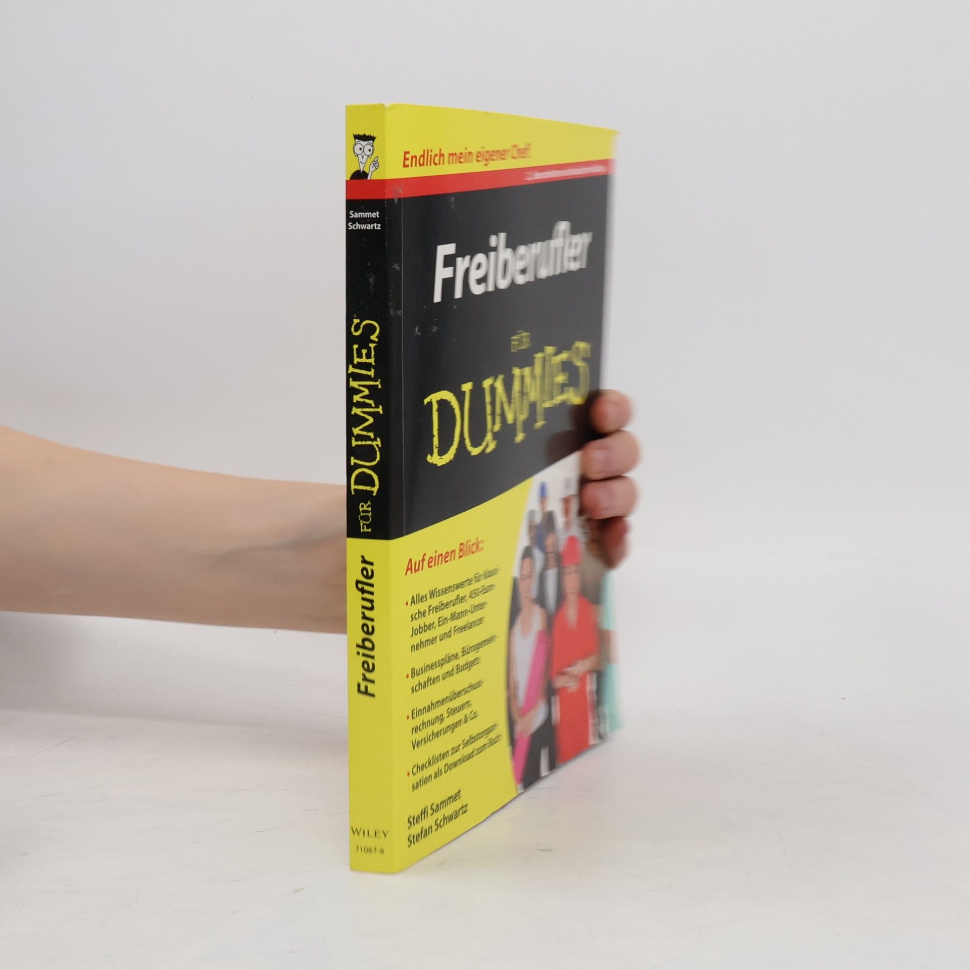 Stefanie Sammet Freiberufler für Dummies