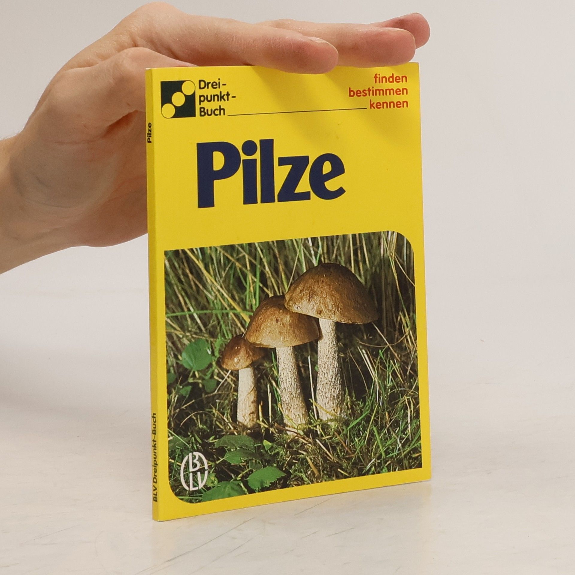 Autorenkollektiv Pilze