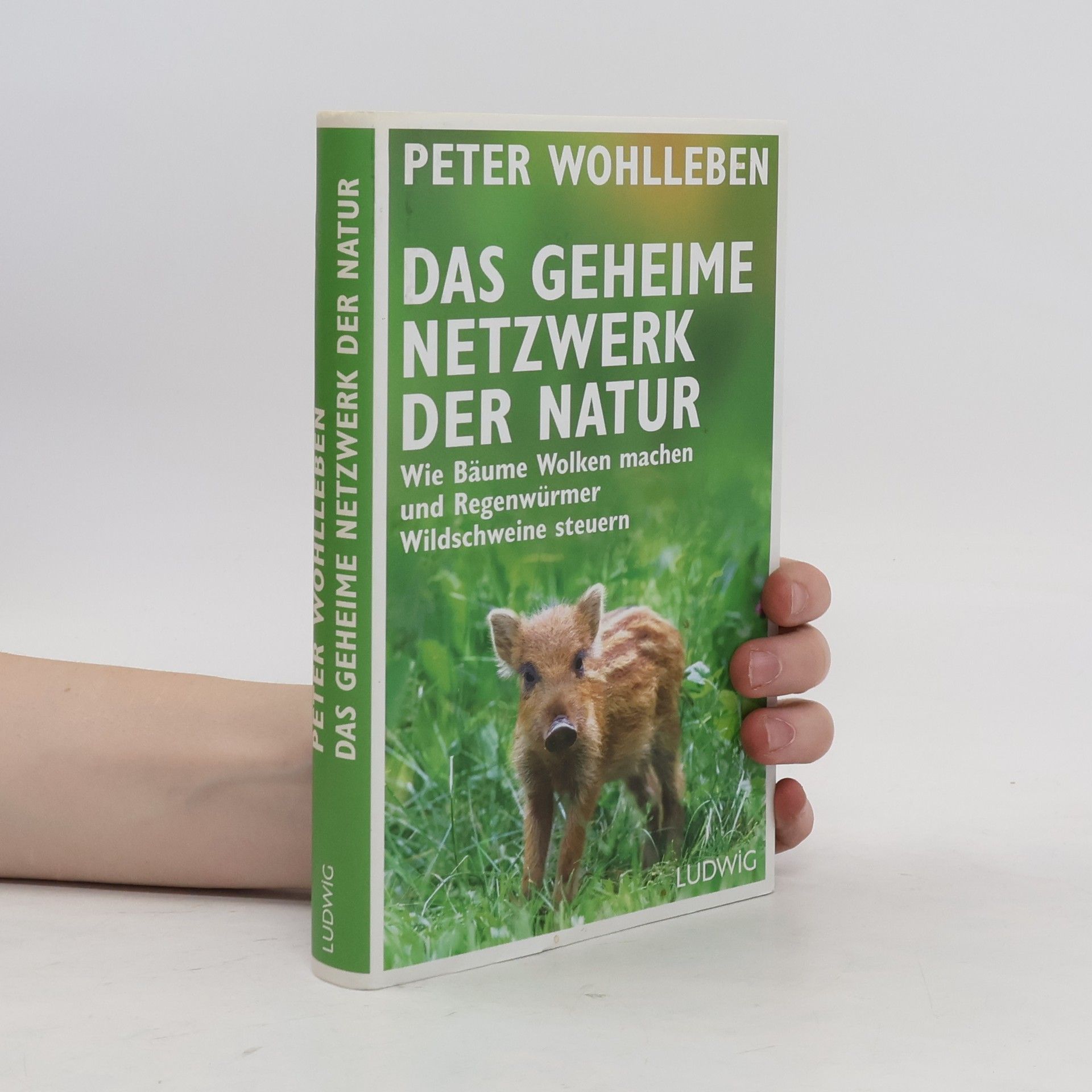 Peter Wohlleben Das geheime Netzwerk der Natur