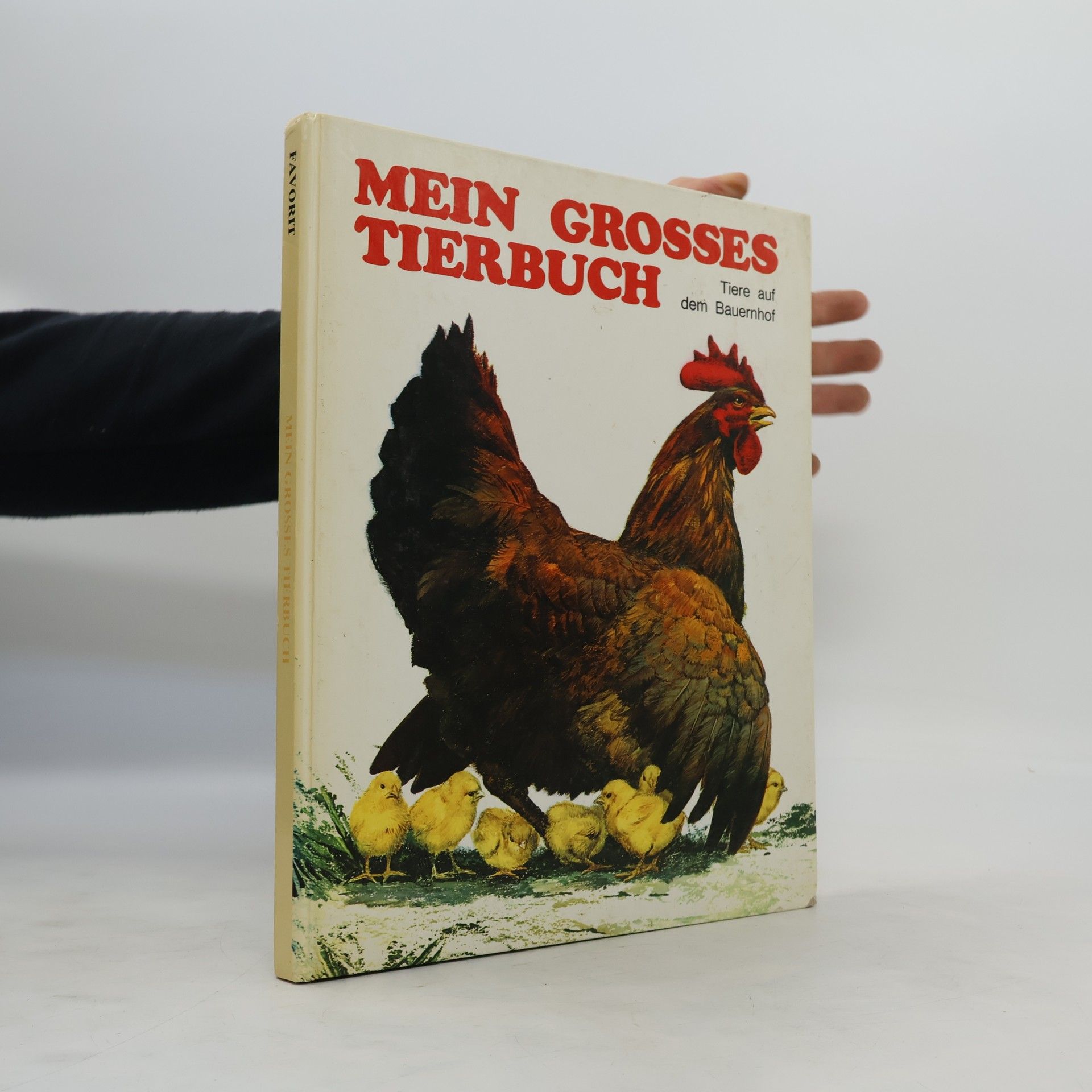 Autorenkollektiv Mein Grosses Tierbuch