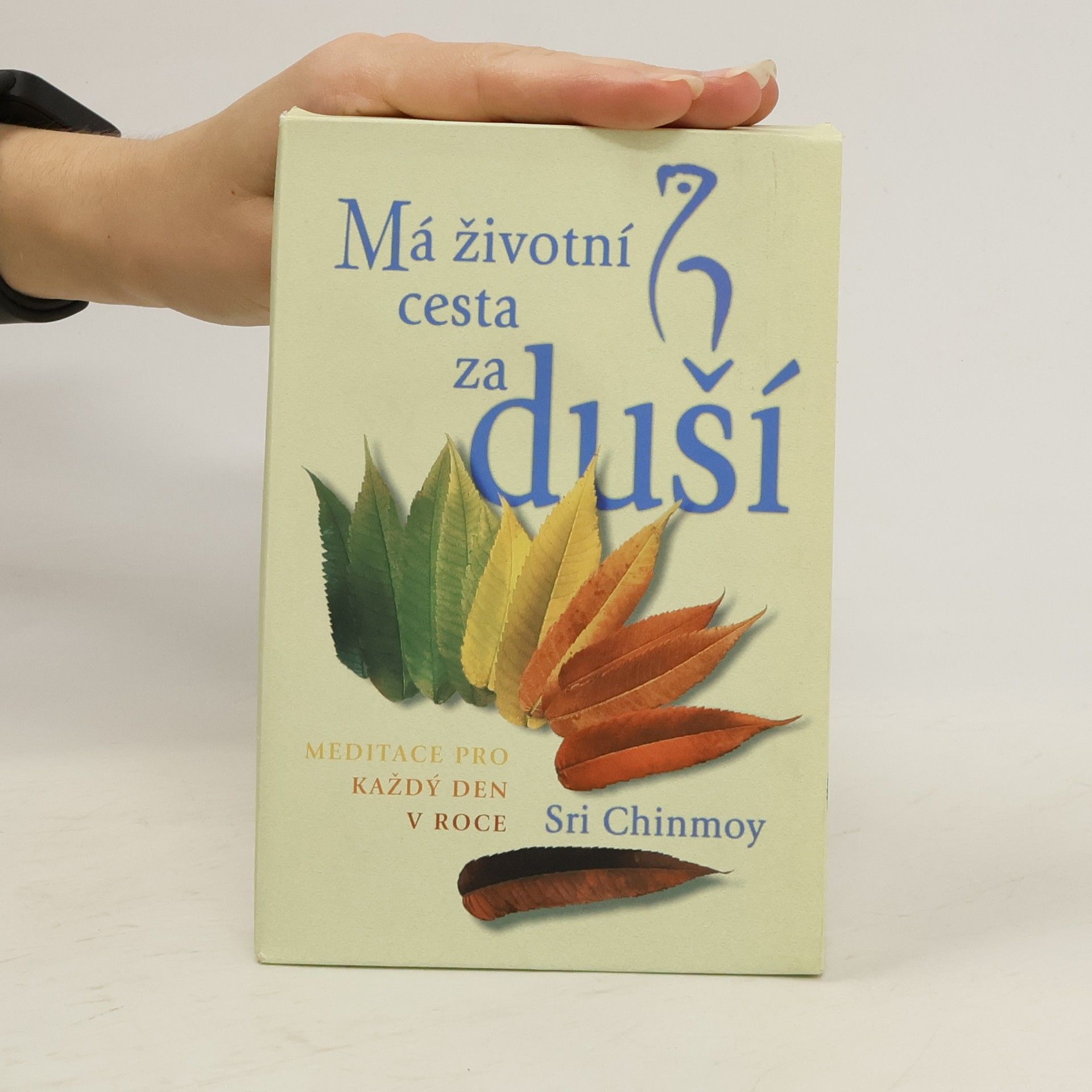 Chinmoy Kumar Ghose Má životní cesta za duší (komplet box, 4 svazky)