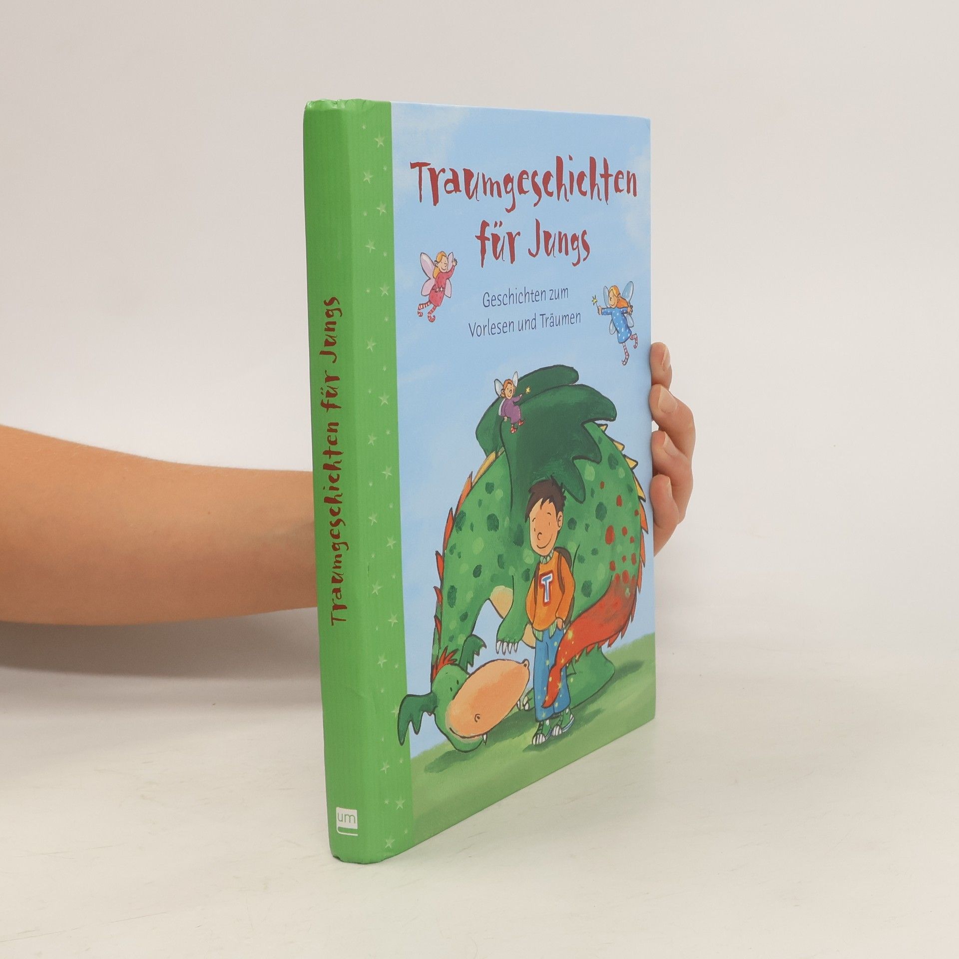 Collectif d'auteurs Traumgeschichten für Jungs