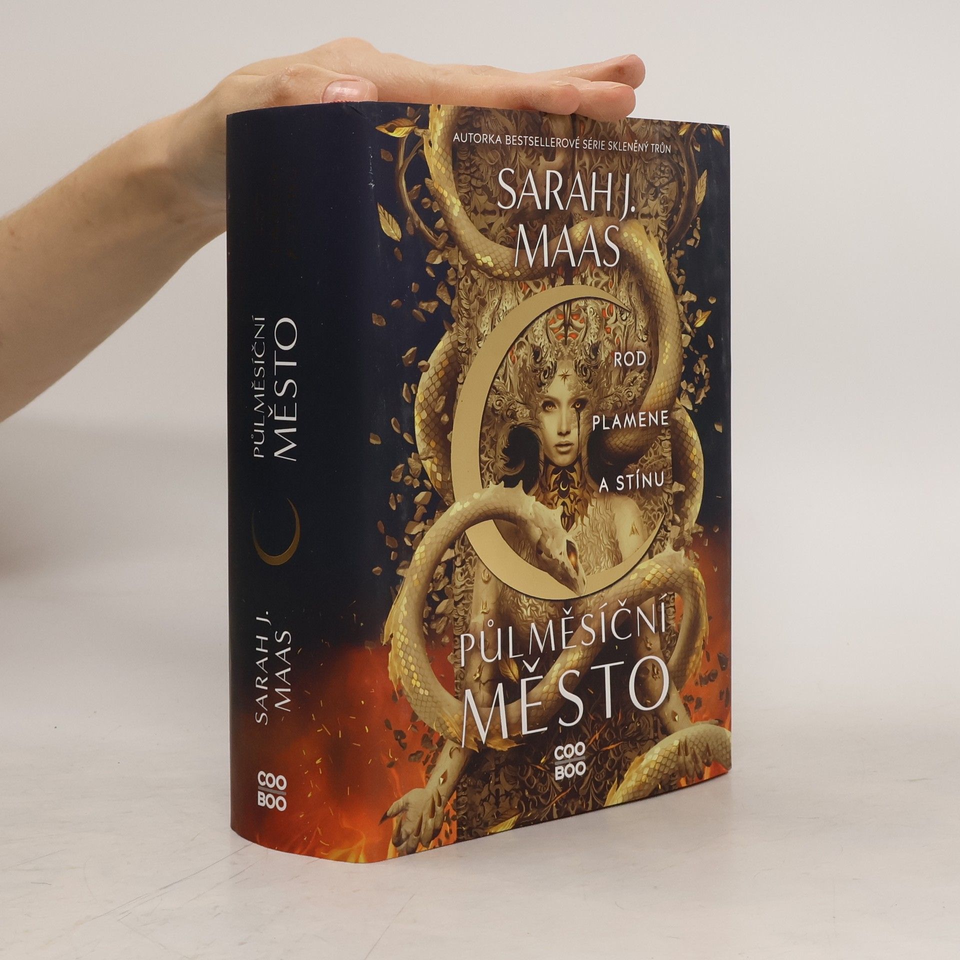 Sarah J. Maas Rod plamene a stínu
