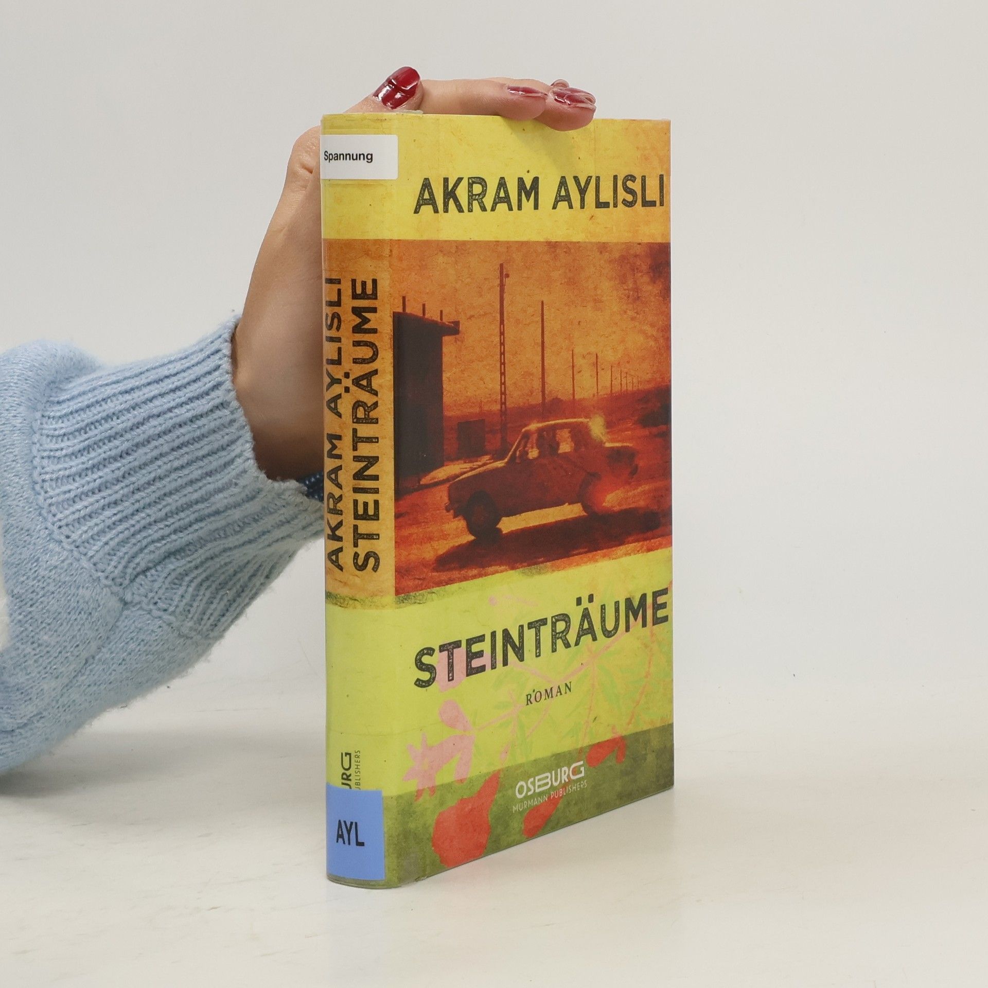 Äkräm Äylisli Steinträume