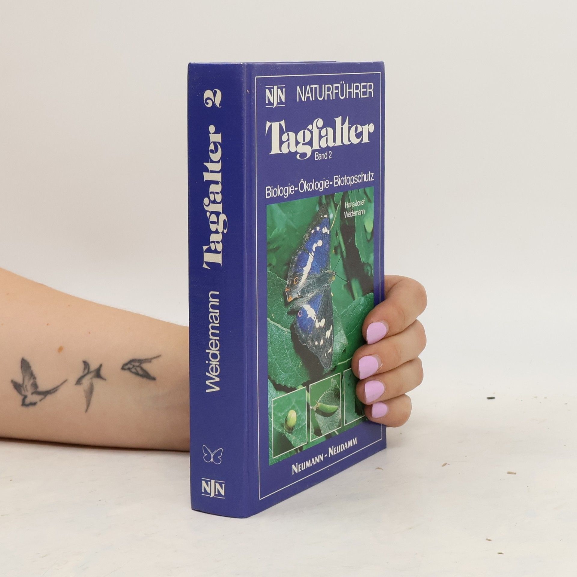 Collective Tagfalter