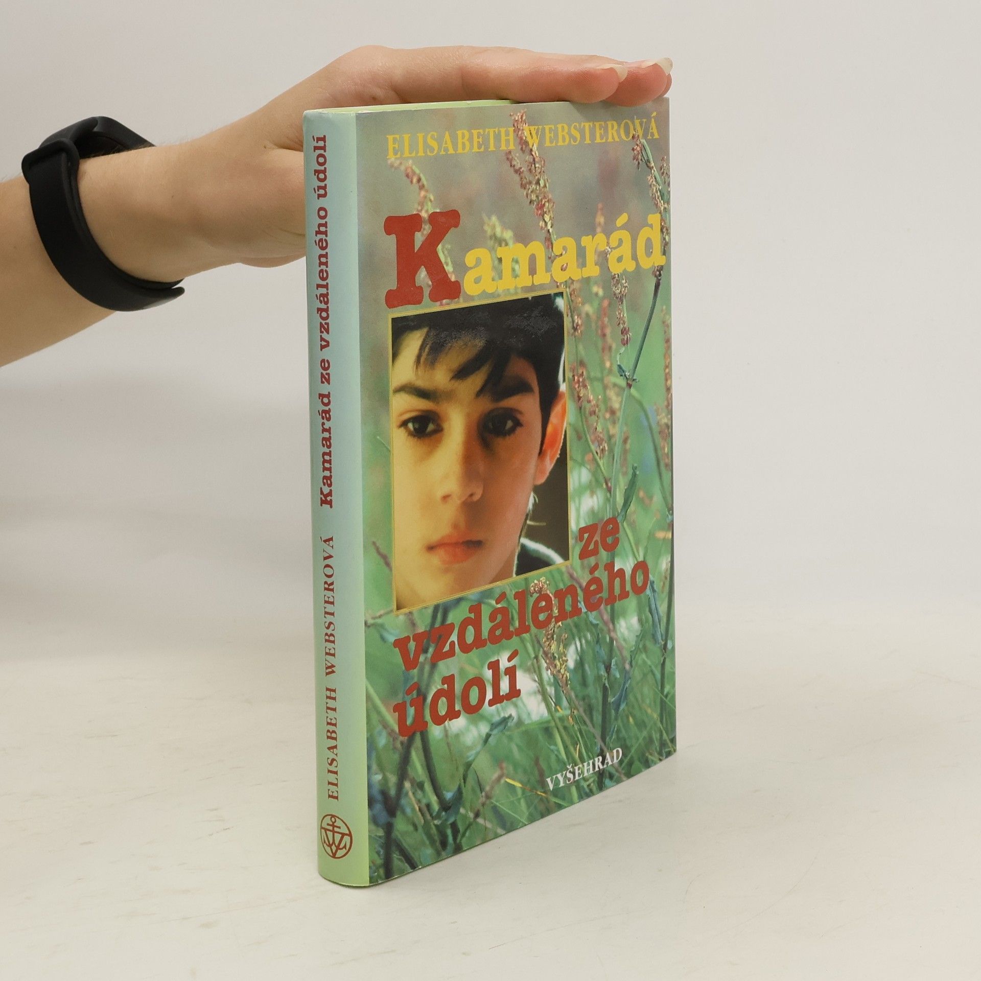 Elizabeth Webster Kamarád ze vzdáleného údolí