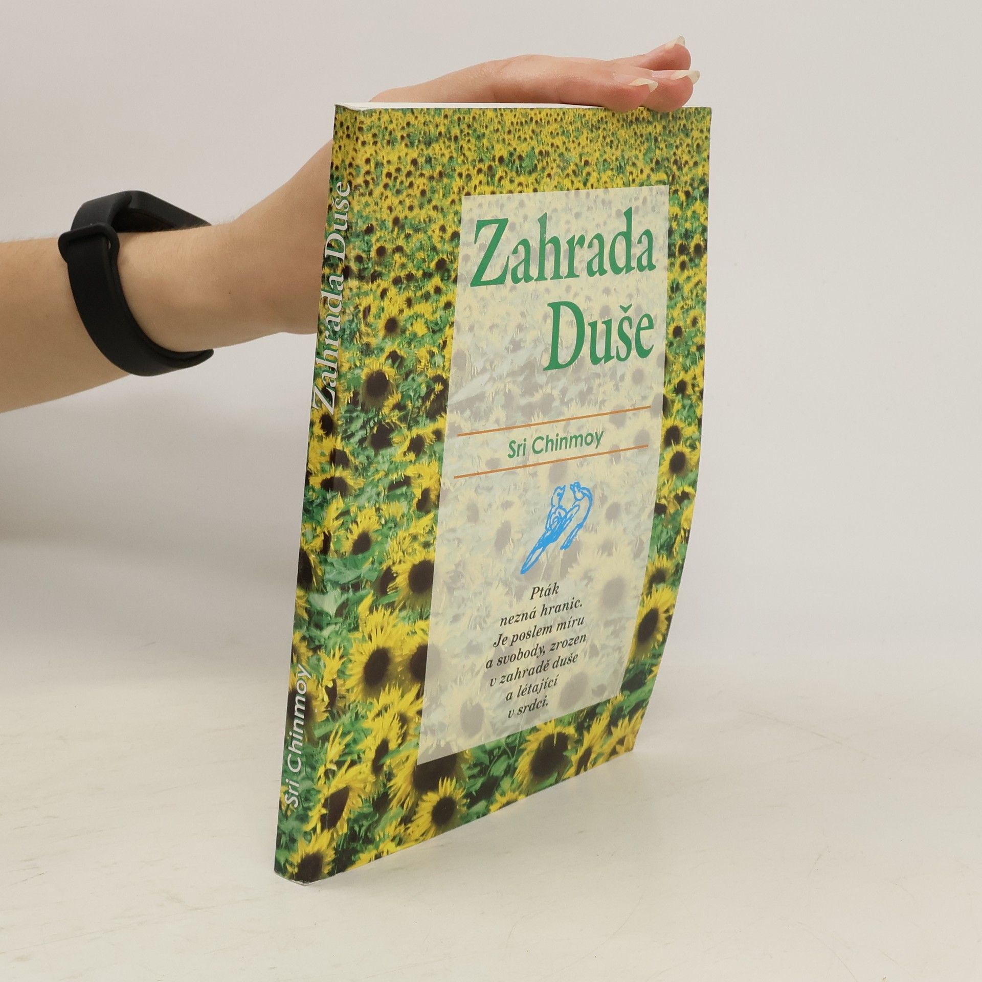 Šrí Činmoj Zahrada duše