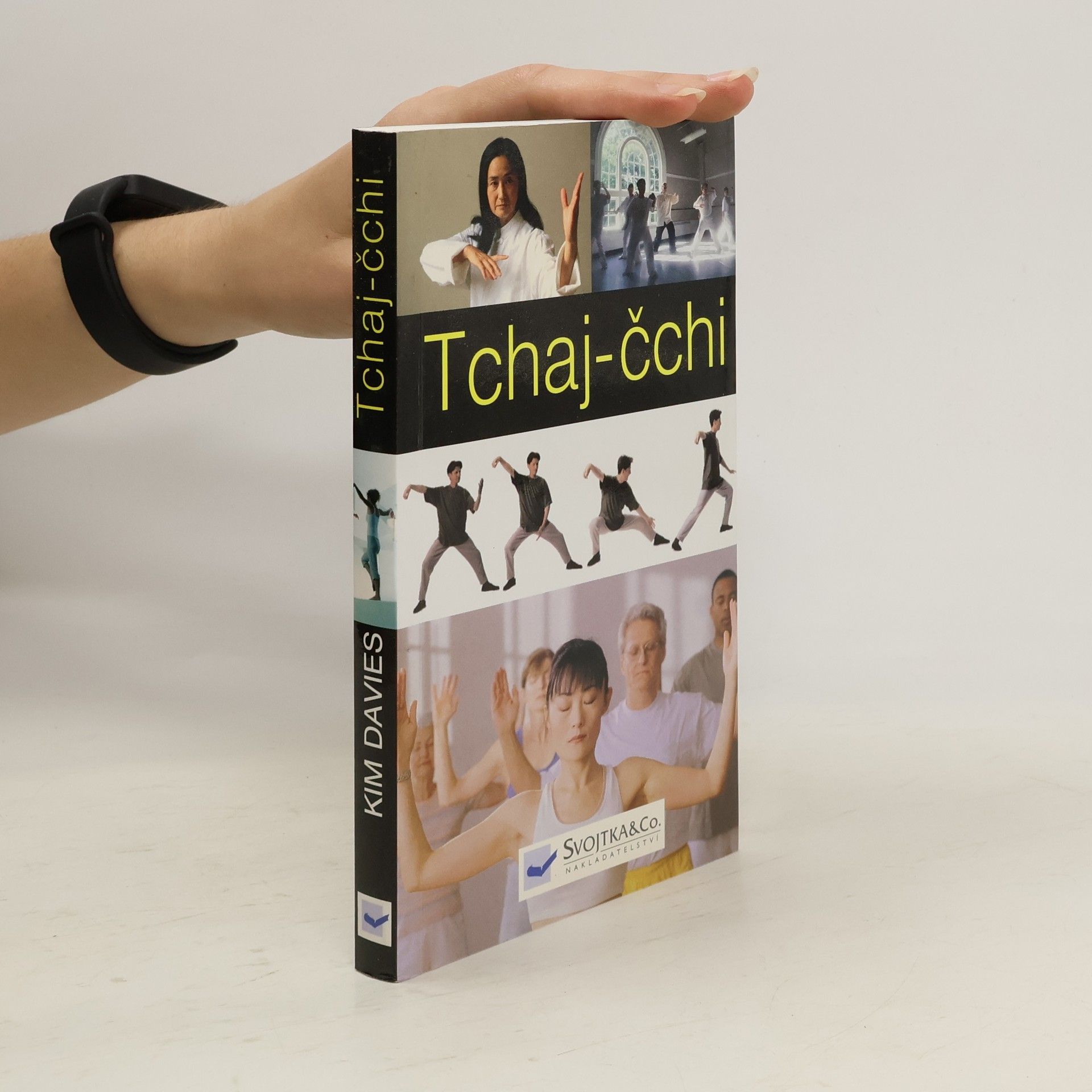 Kim Davies Tchai-čchi