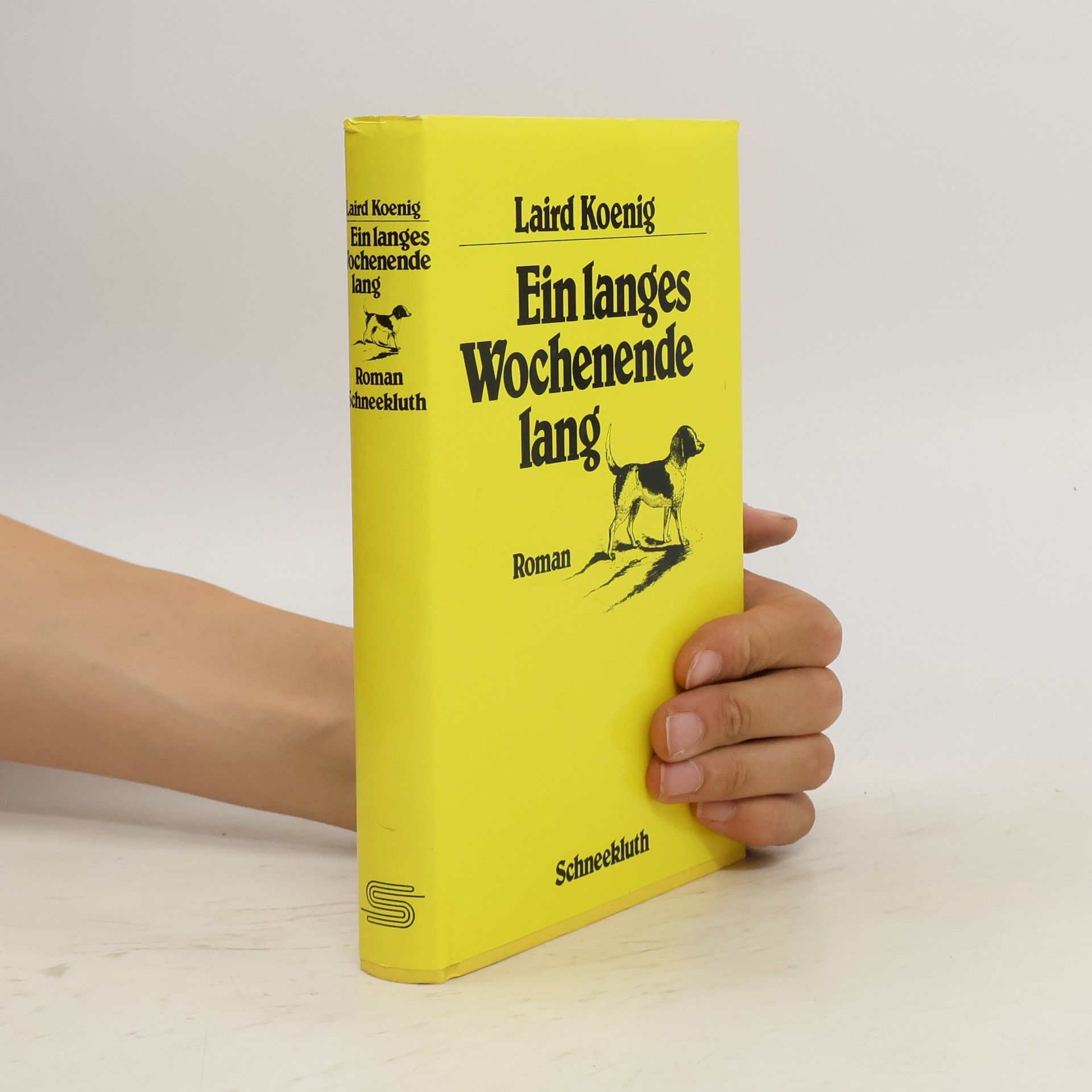 Laird Koenig Ein langes Wochenende lang. Roman
