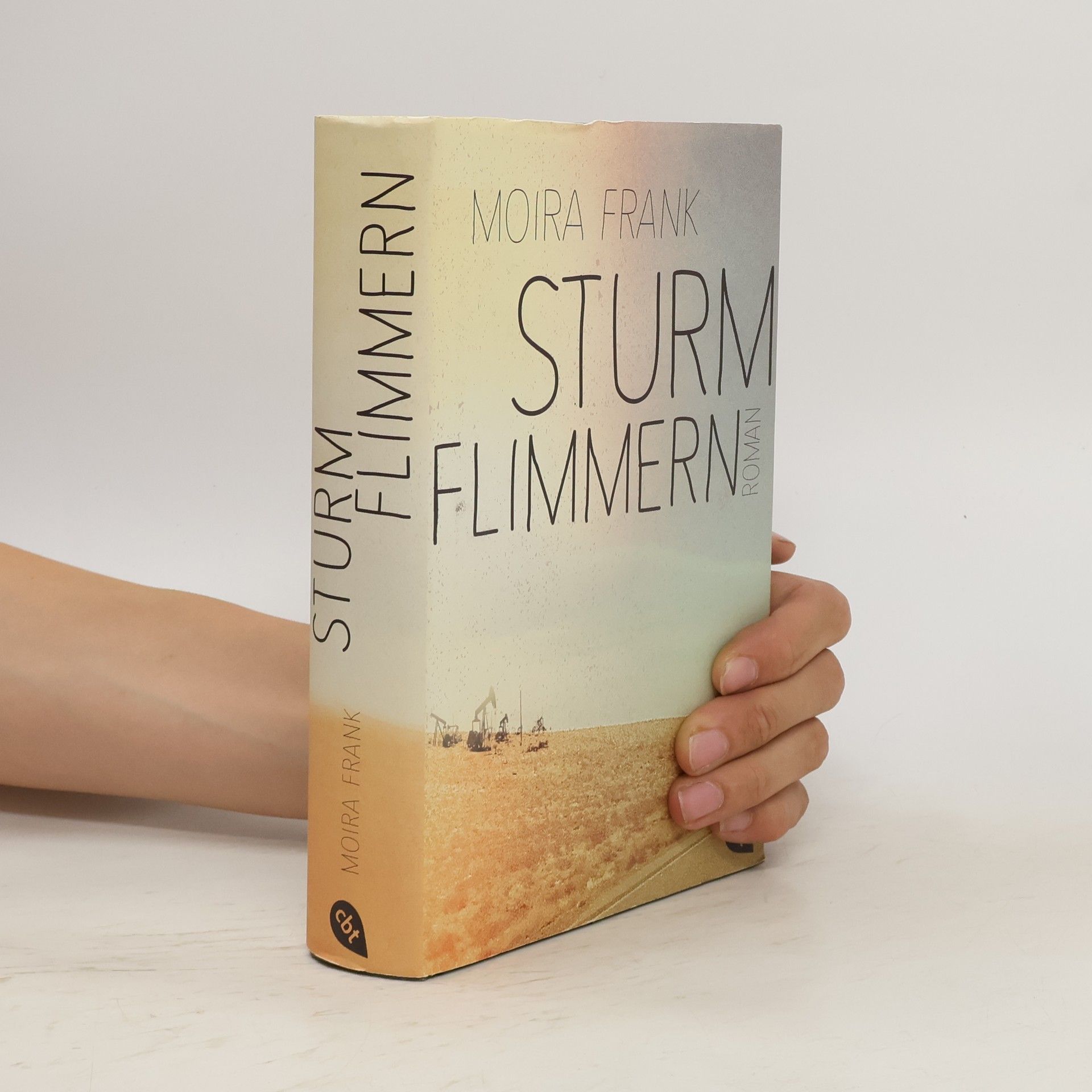 Moira Frank Sturmflimmern