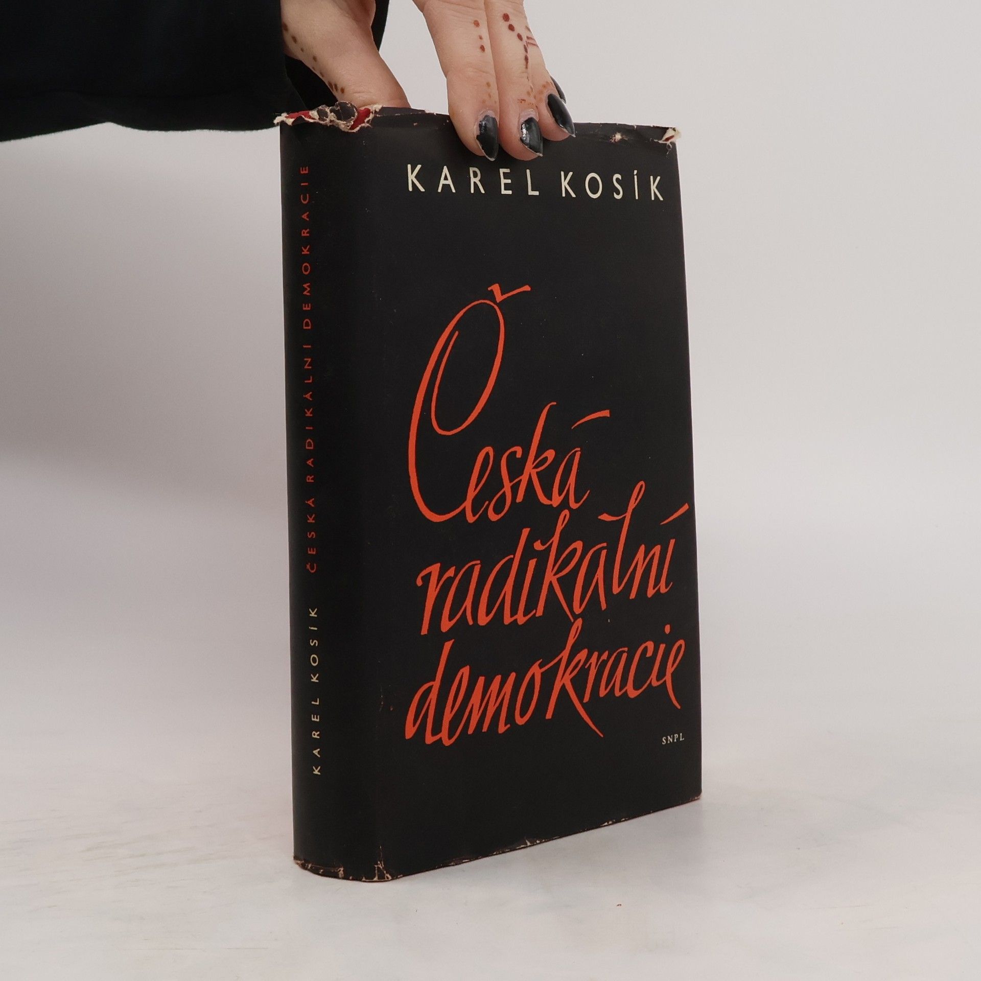 Karel Kosík Česká radikální demokracie