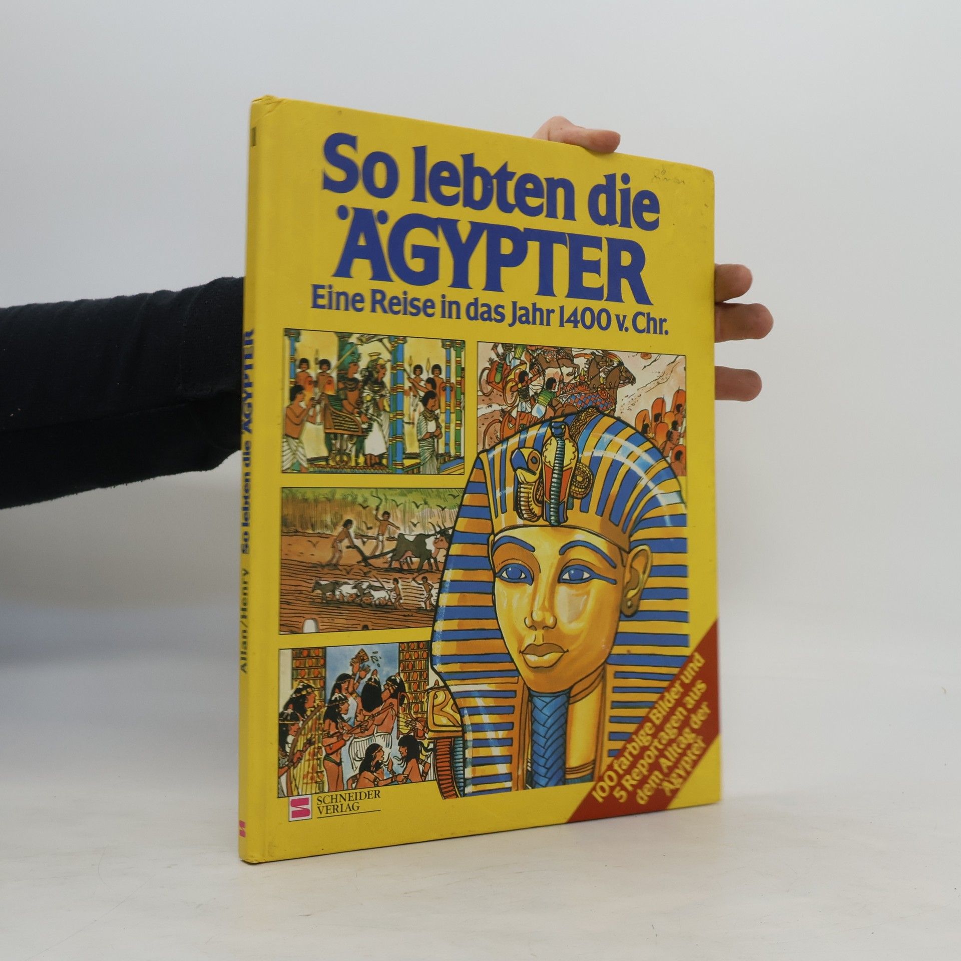 Tony Allan So lebten die Ägypter