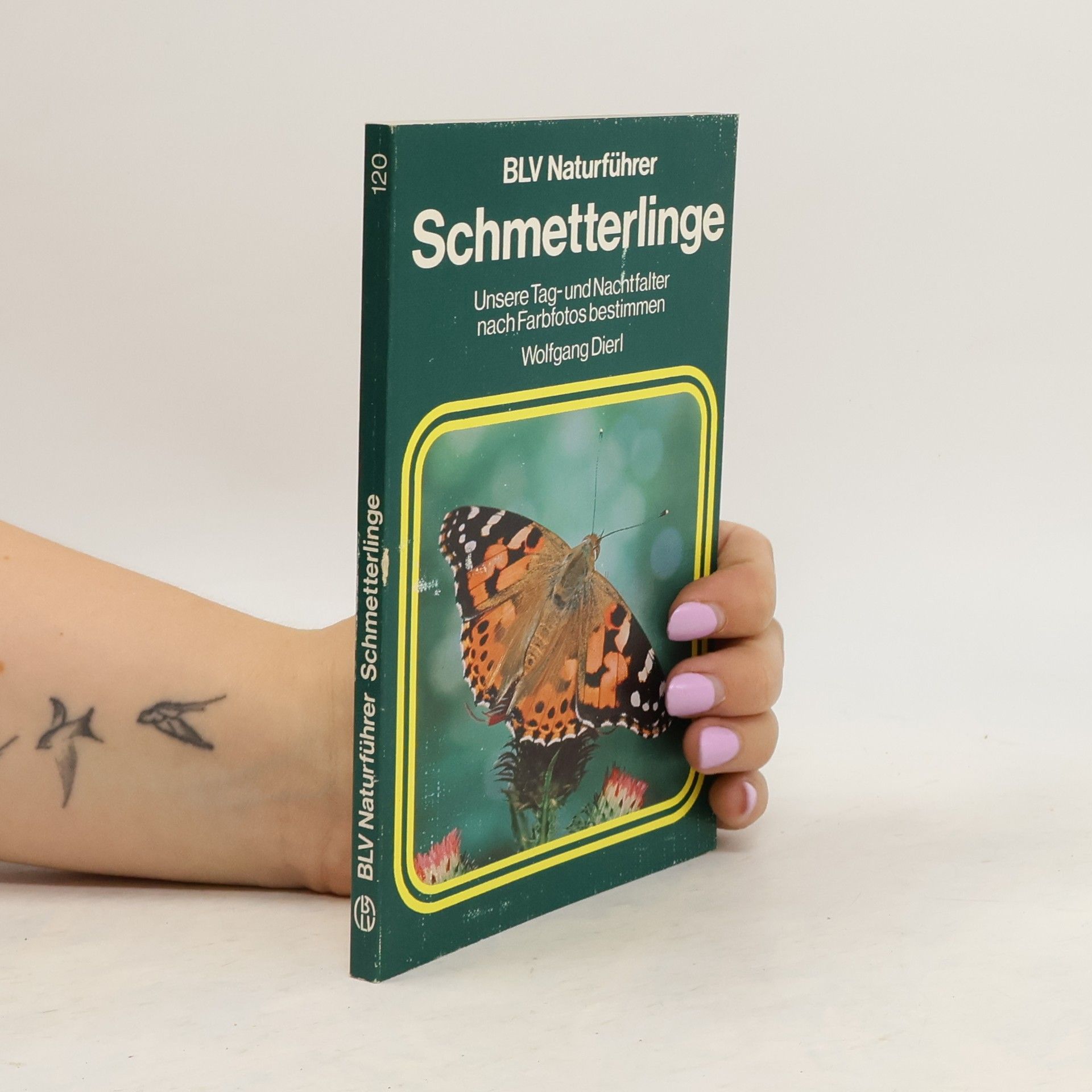 Wolfgang Dierl Schmetterlinge