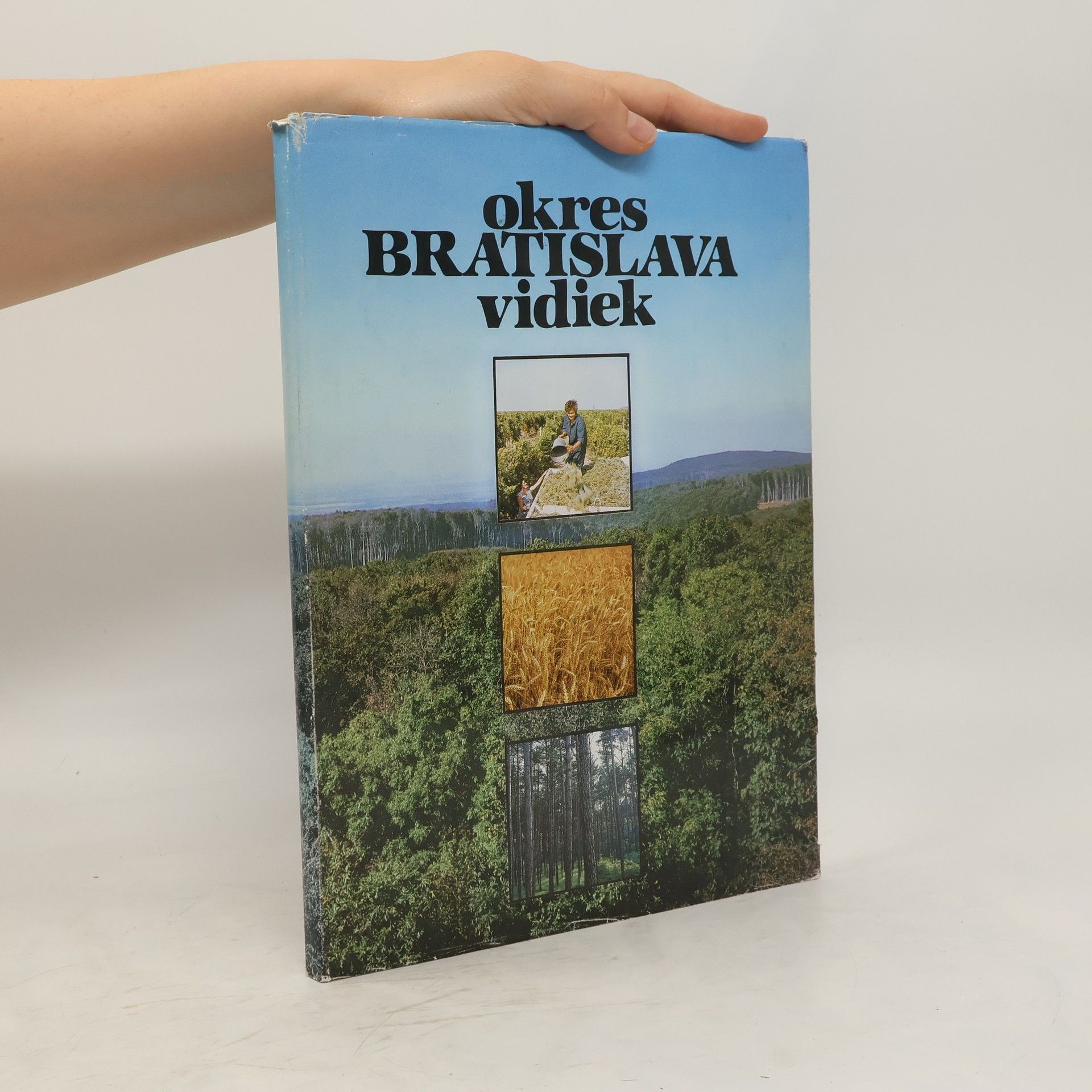 Kolektiv autorů Okres Bratislava vidiek