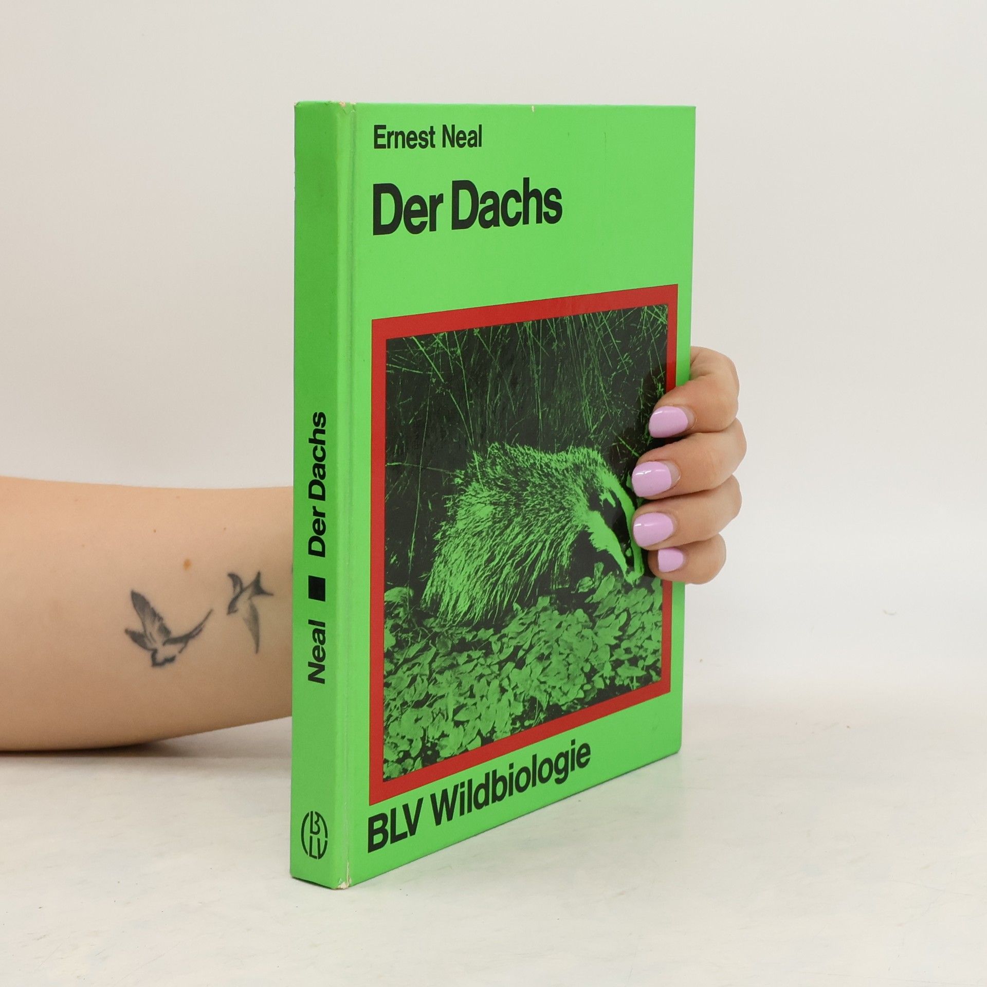 Ernest G. Neal Der Dachs