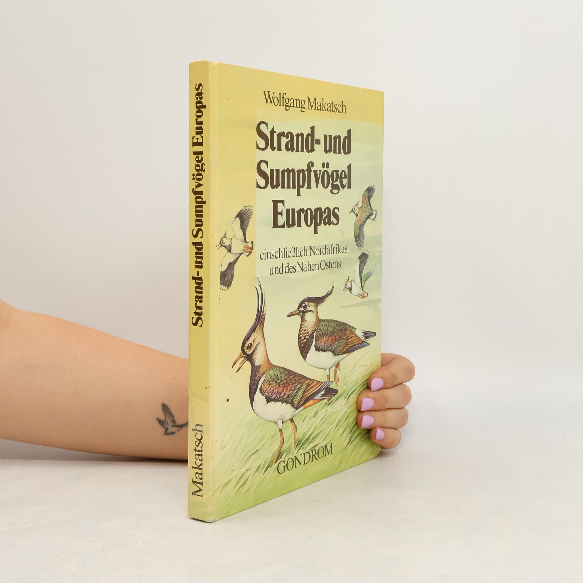 Wolfgang Makatsch Strand- und Sumpfvögel Europas