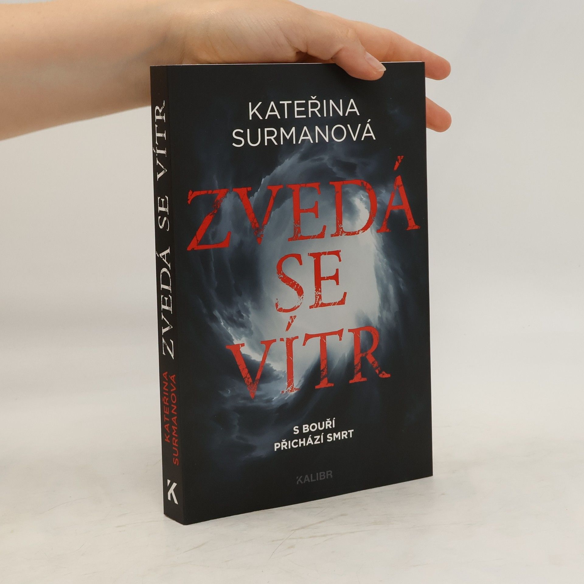 Kateřina Surmanová Zvedá se vítr