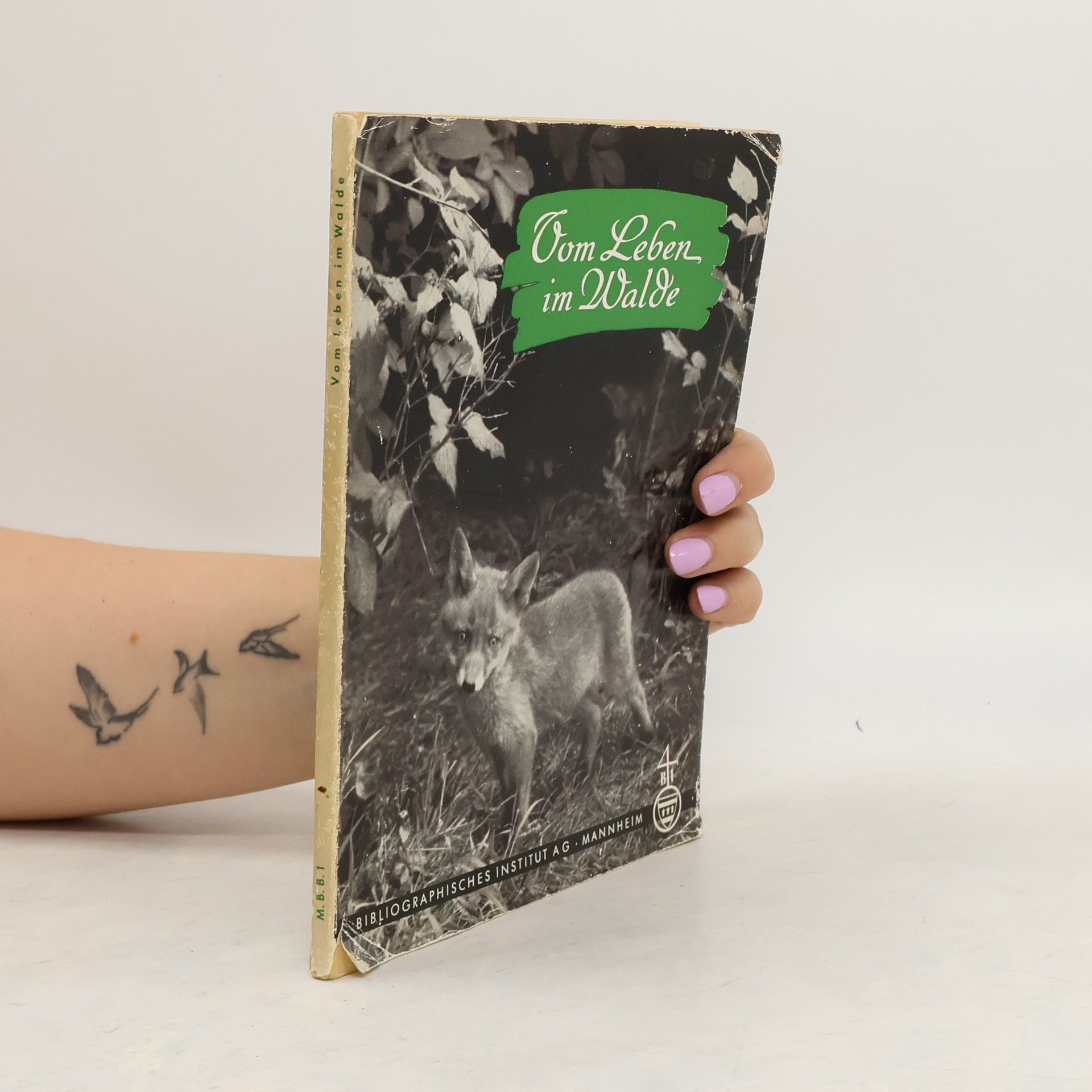 Autorenkollektiv Vom Leben im Walde
