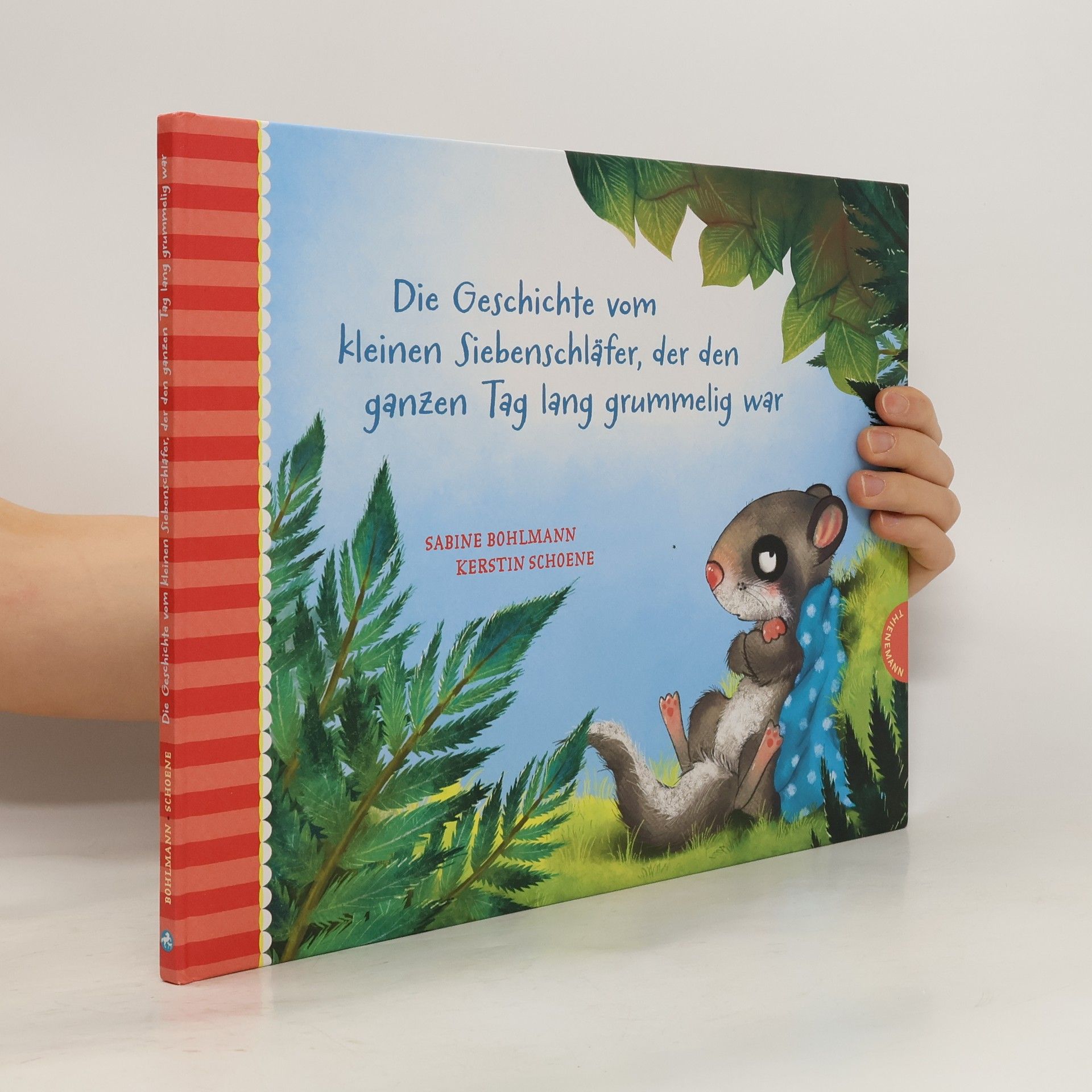 Sabine Bohlmann Die Geschichte vom kleinen Siebenschläfer, der den ganzen Tag lang grummelig war