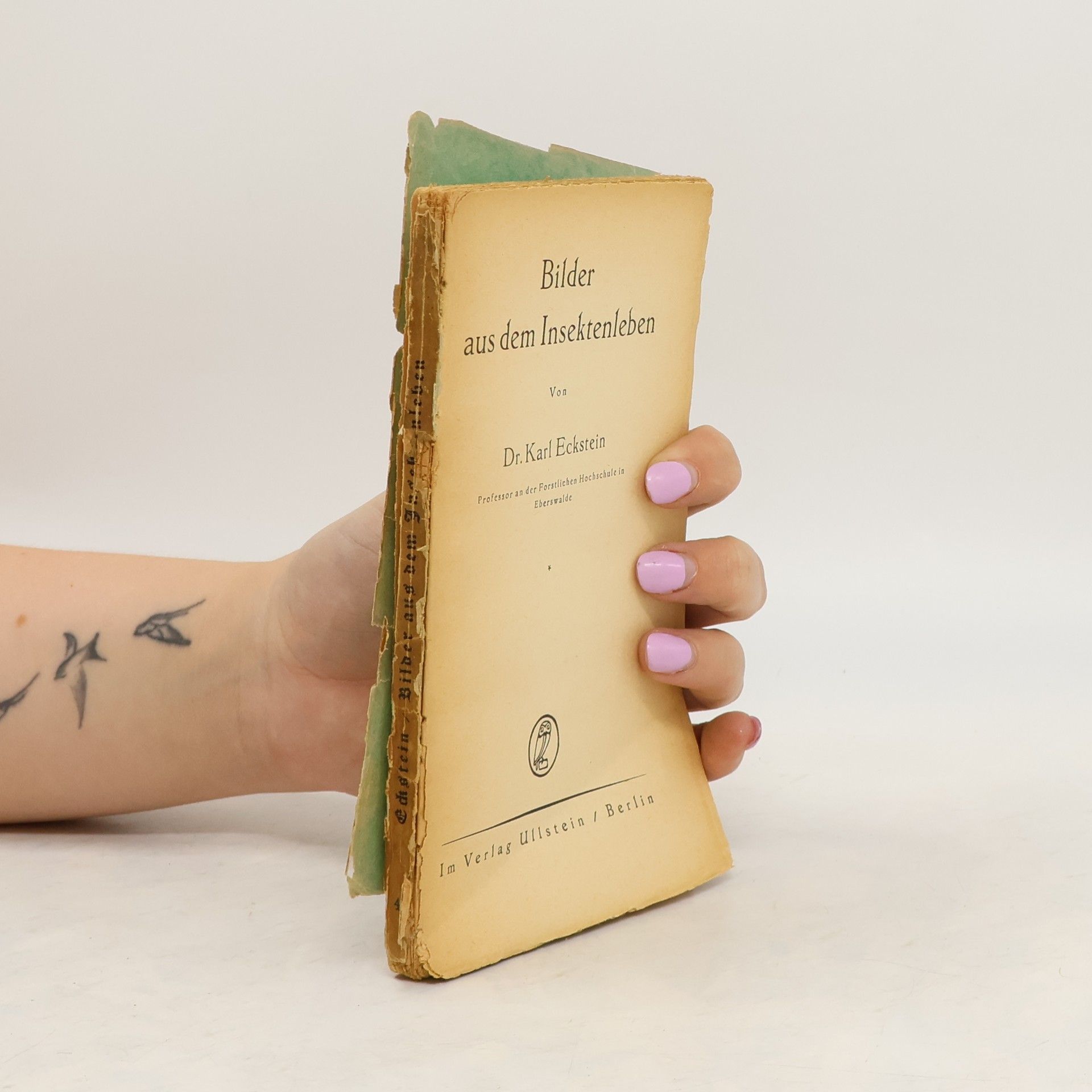 Karl Eckstein Bilder aus dem Insektenleben