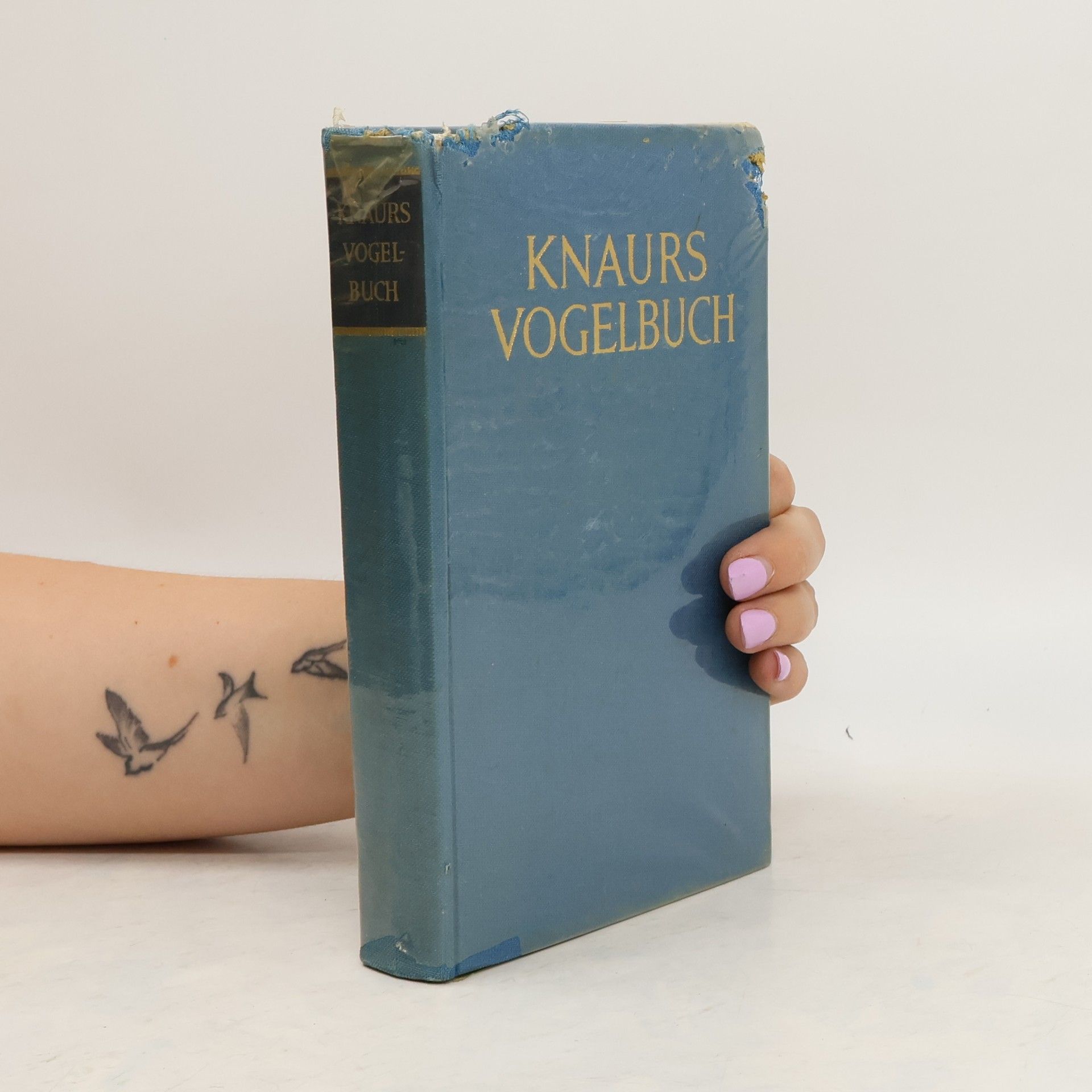 kolektiv Knaurs Vogelbuch