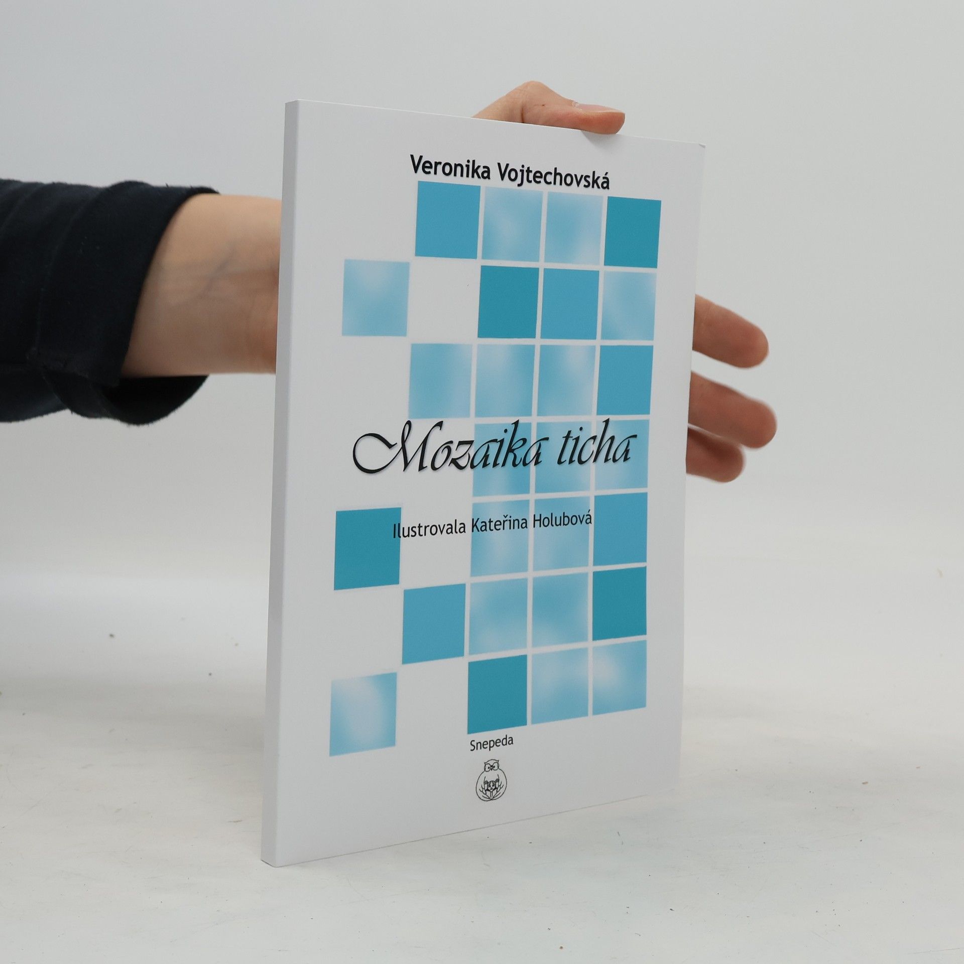 Veronika Vojtechovská Mozaika ticha