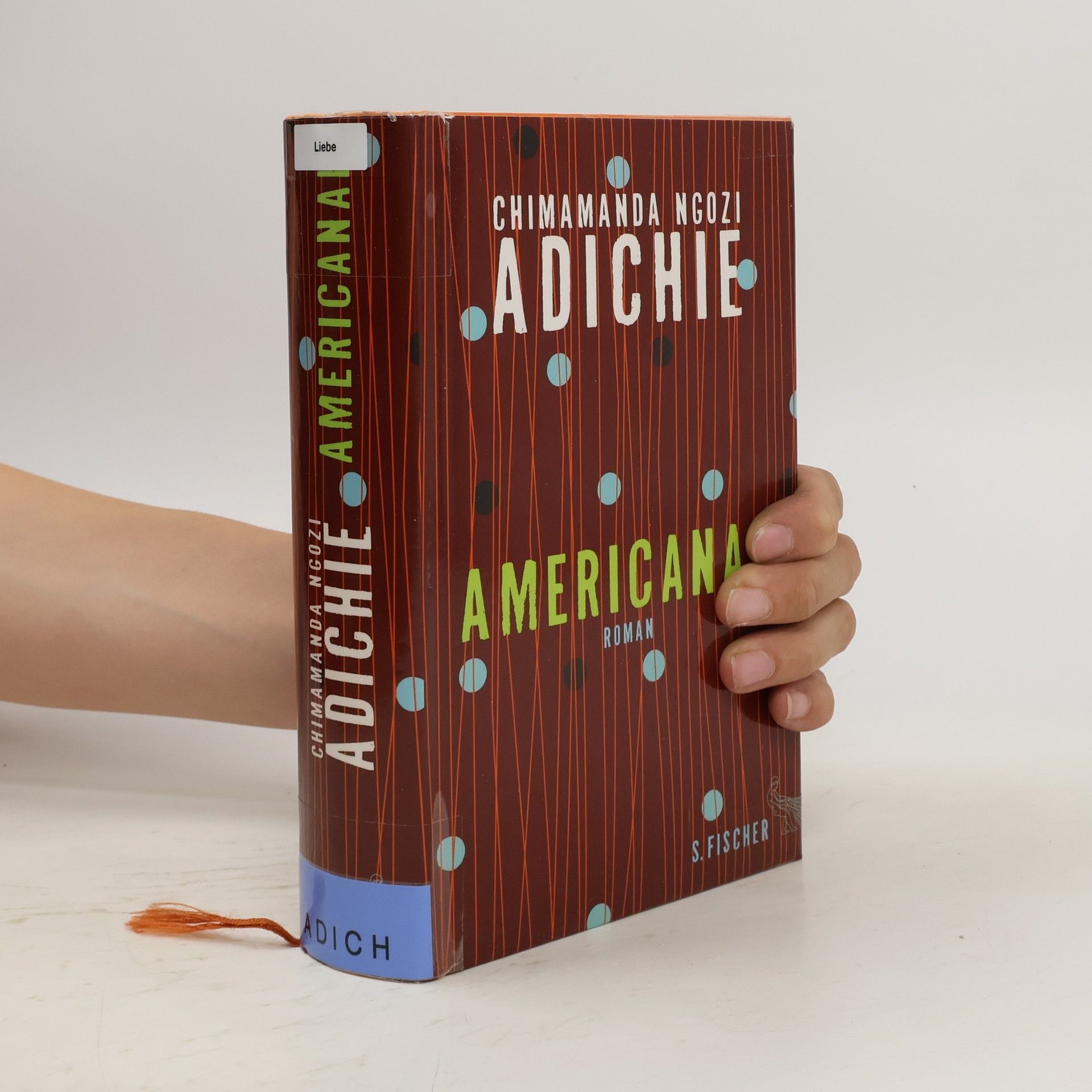 Chimamanda Ngozi Adichie Americanah
