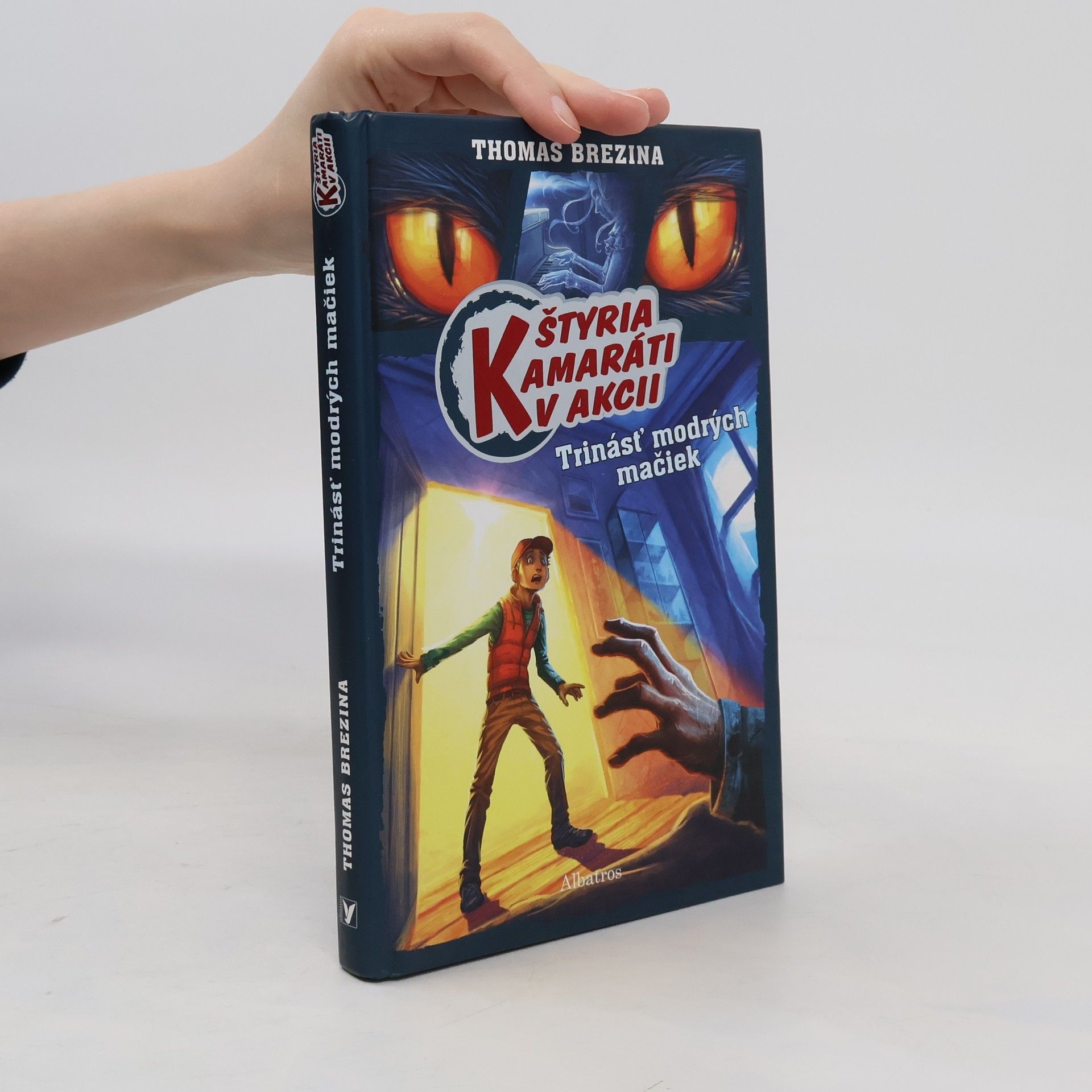 Thomas Brezina Štyria kamaráti v akcii: Trinásť modrých mačiek