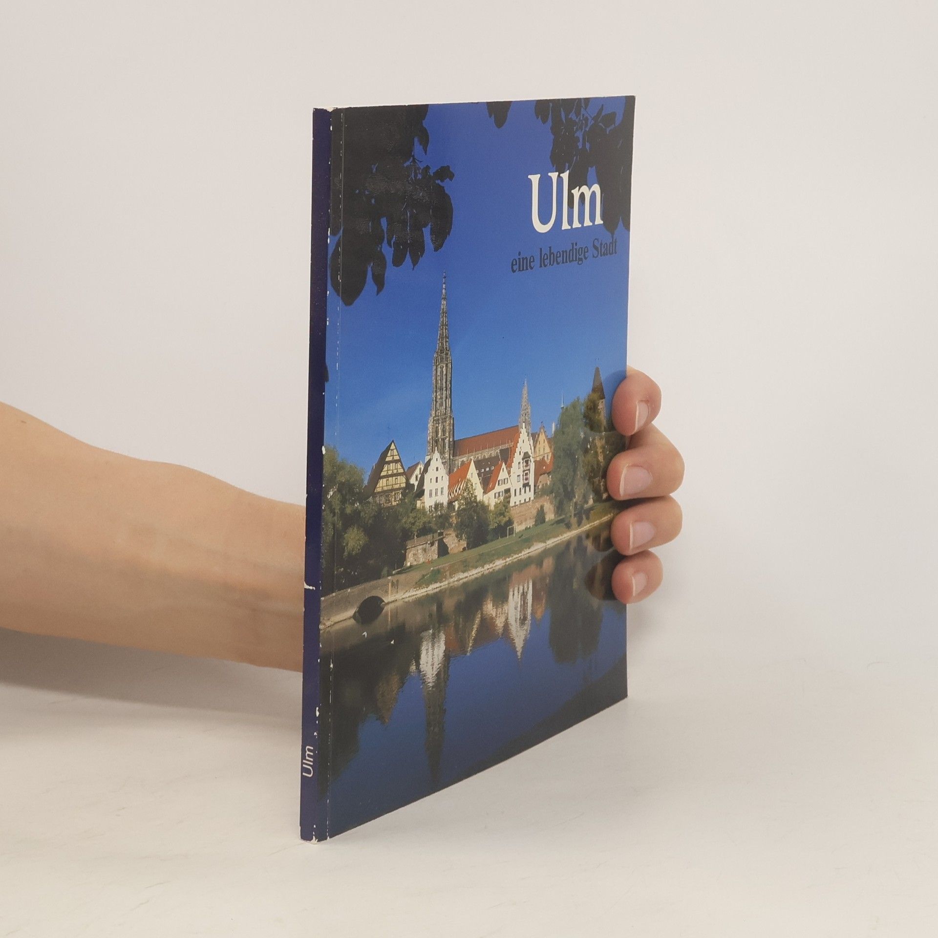Autorenkollektiv Ulm, eine lebendige Stadt.