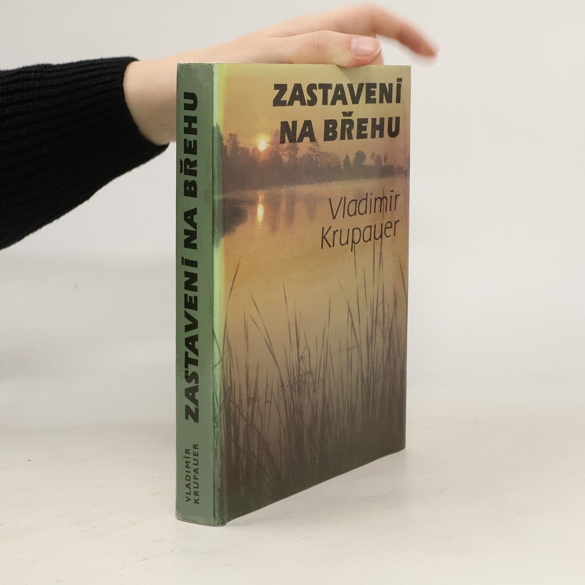 Vladimír Krupauer Zastavení na břehu
