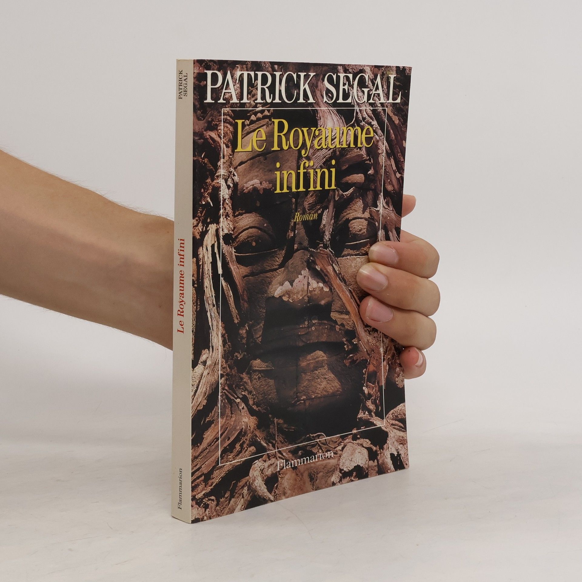 Patrick Segal Le royaume infini