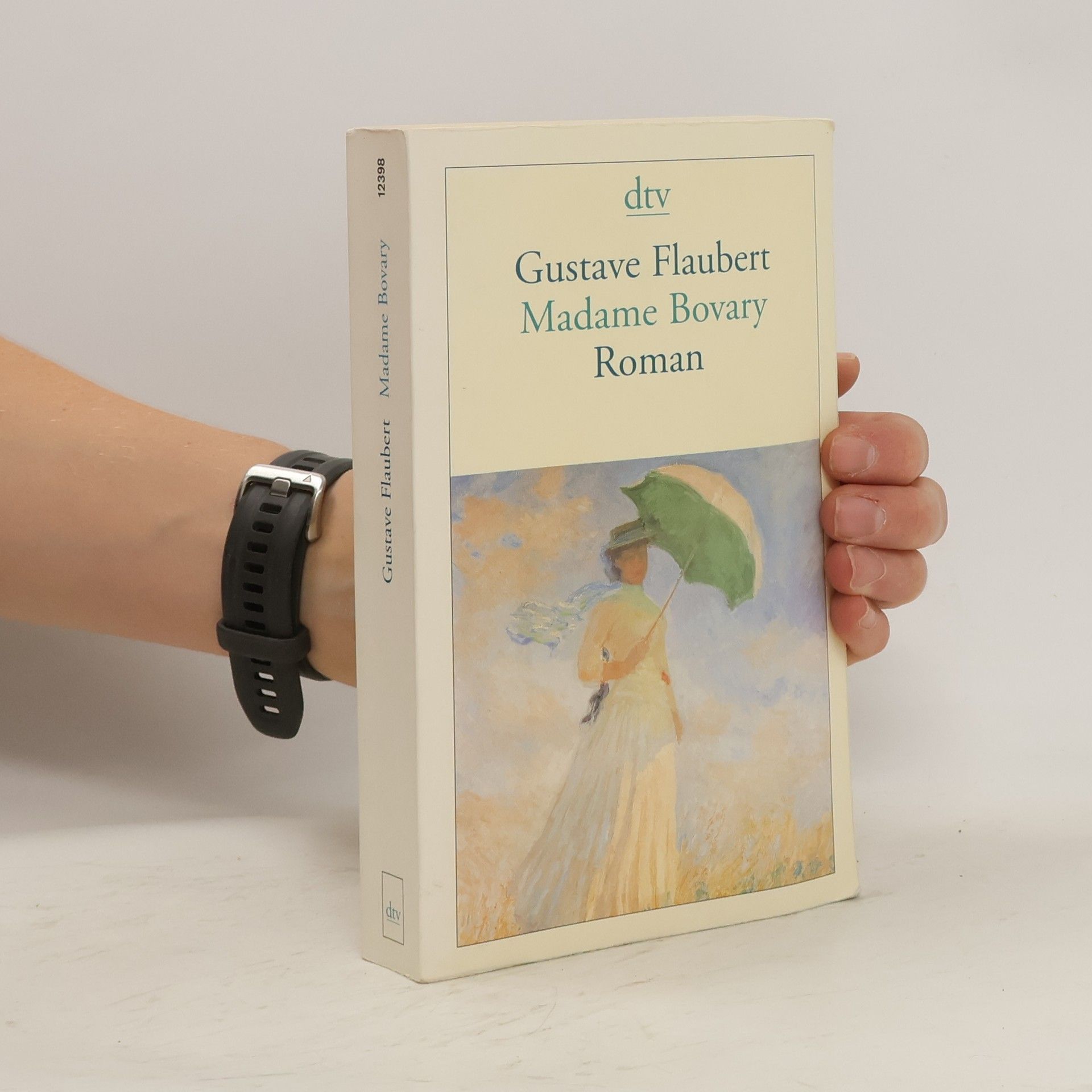 Gustave Flaubert Madame Bovary