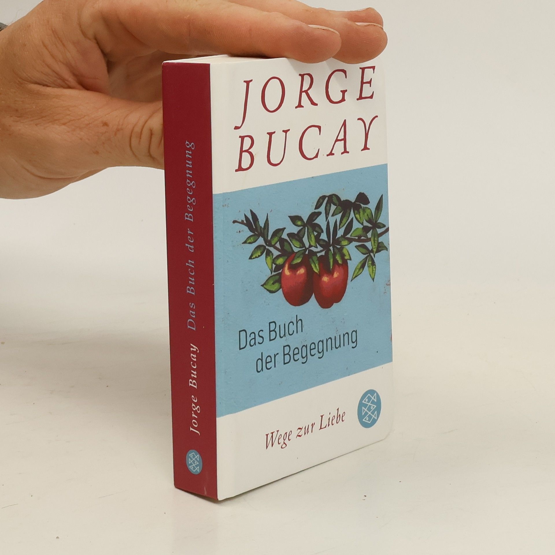 Jorge Bucay Das Buch der Begegnung