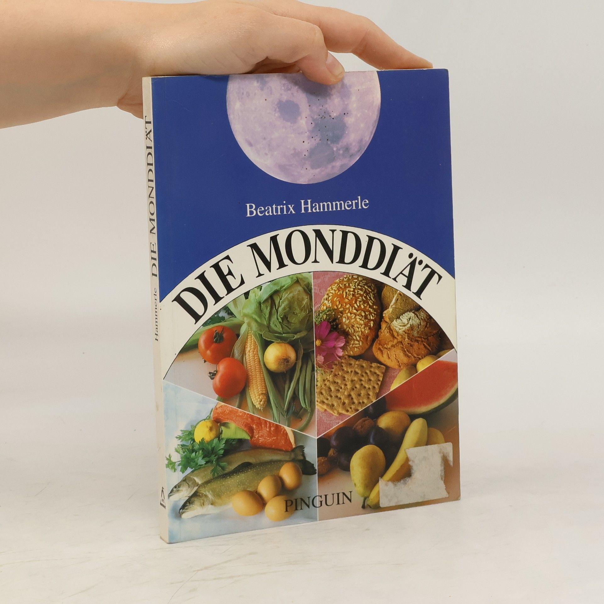 Beatrix Hammerle Die Monddiät