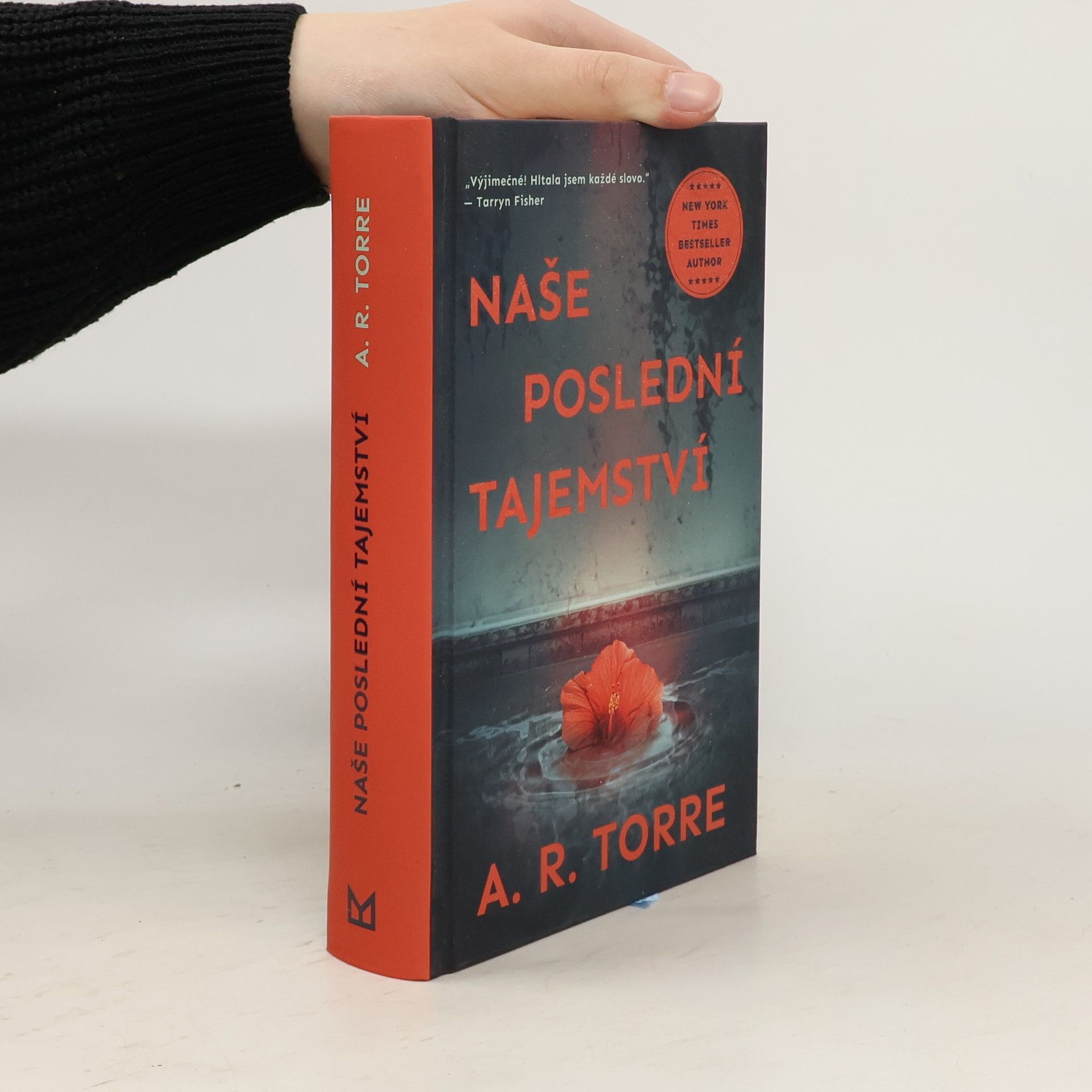 Alessandra Torre Naše poslední tajemství