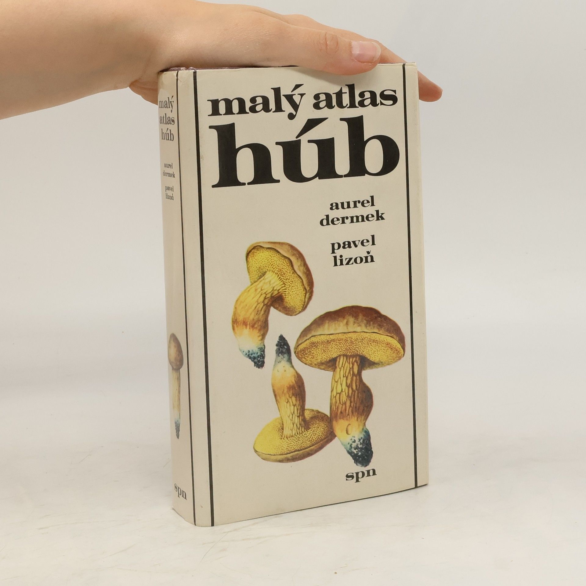 Aurel Dermek Malý atlas húb