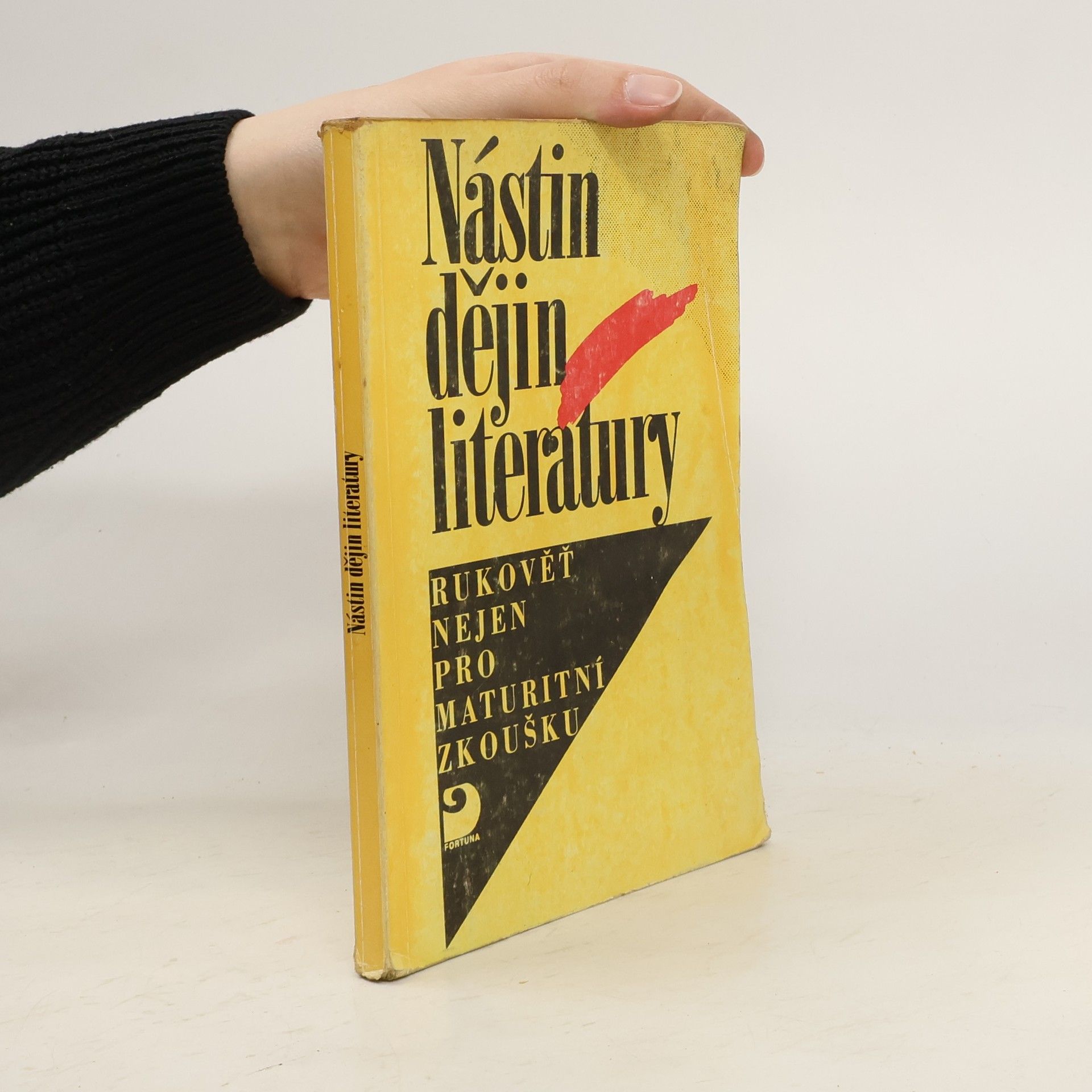Milan Kudrys Nástin dějin literatury
