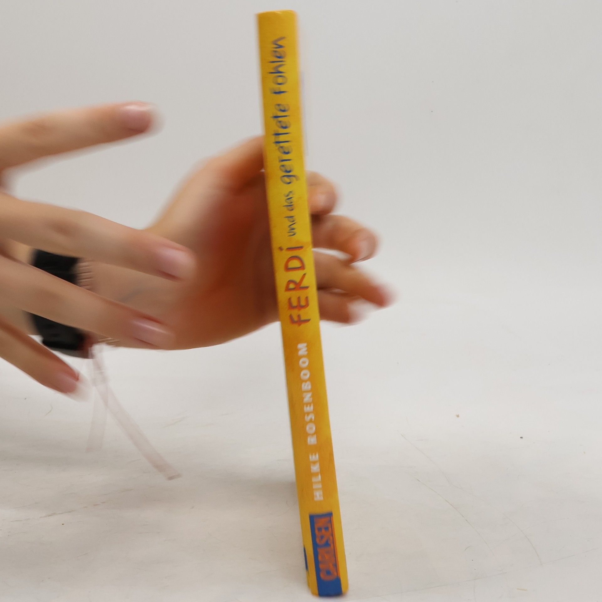 Ferdi und das gerettete Fohlen