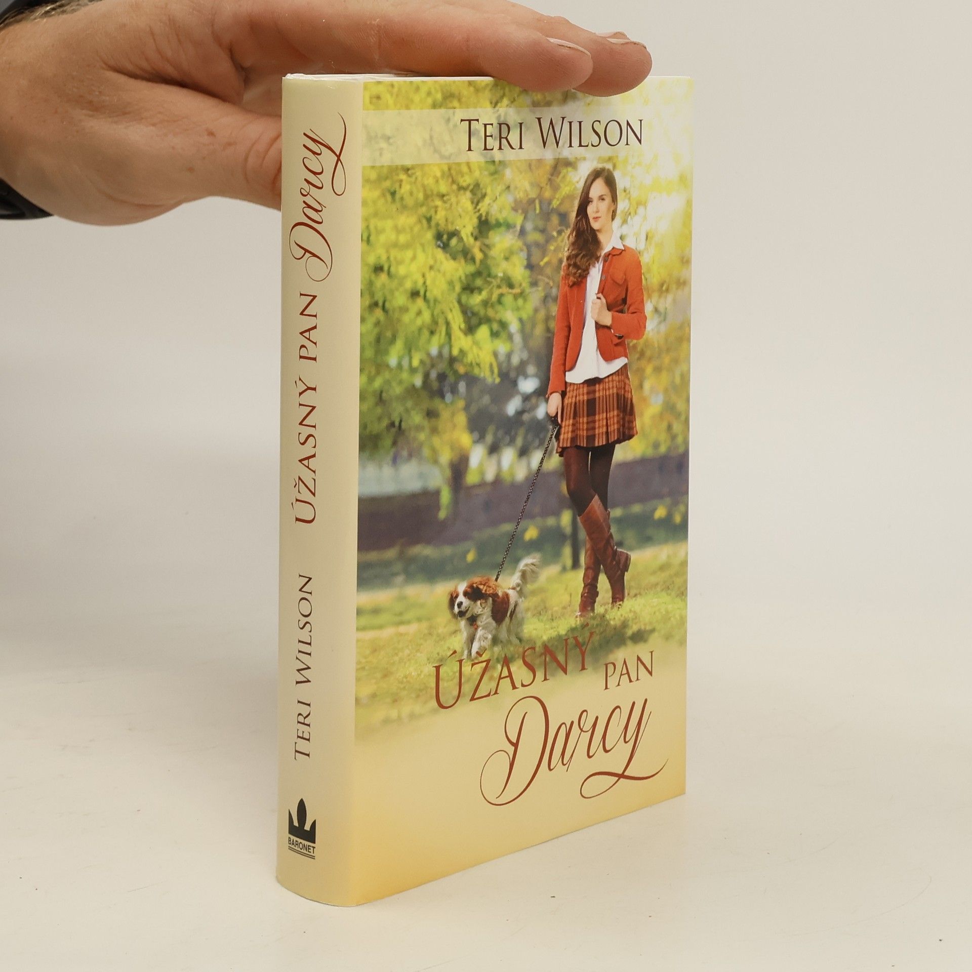 Teri Wilson Úžasný pan Darcy