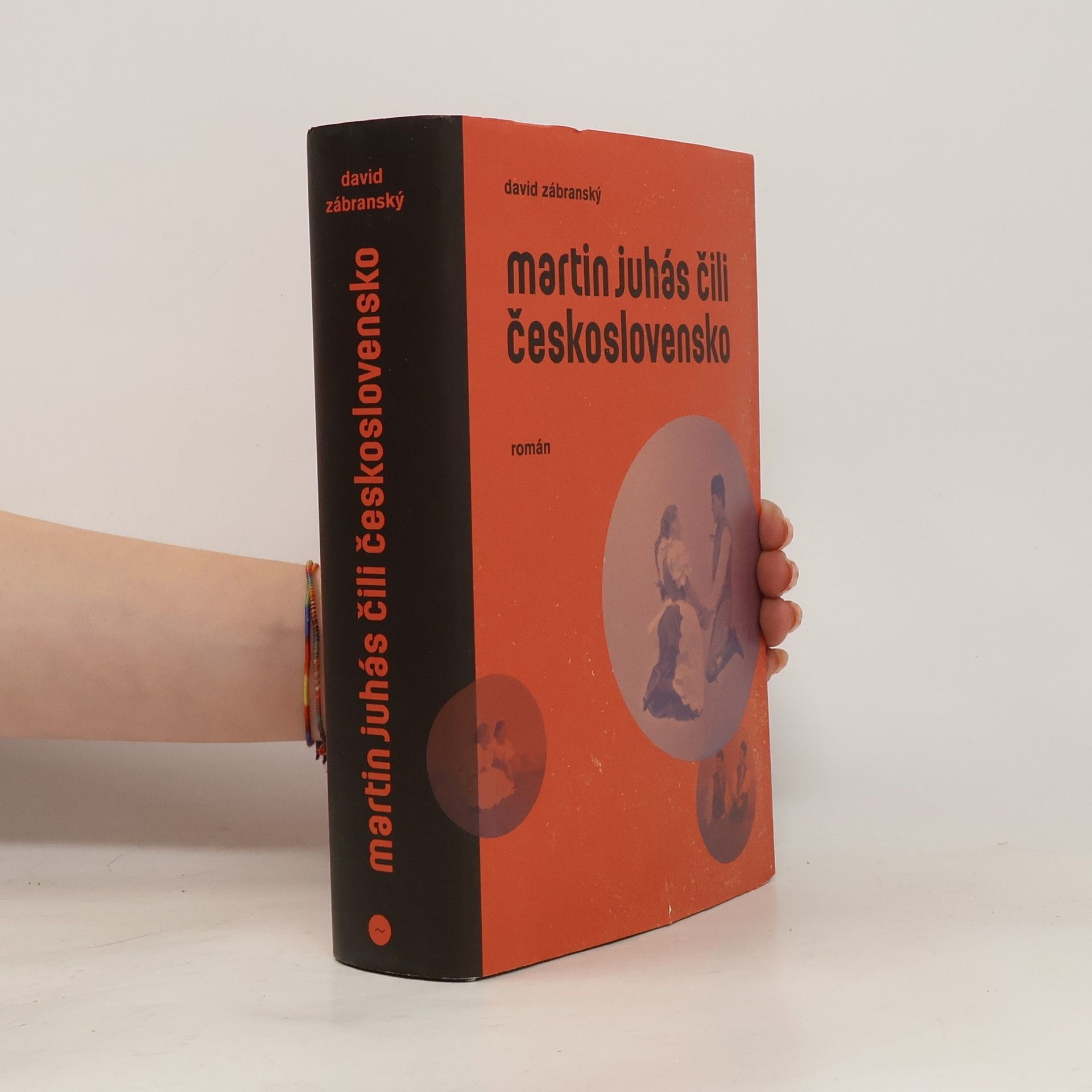 David Zábranský Martin Juhás, čili, Československo : román
