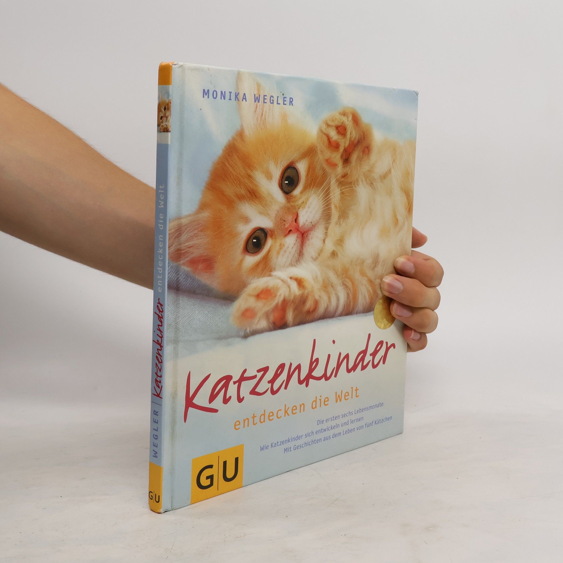 Monika Wegler Katzenkinder entdecken die Welt