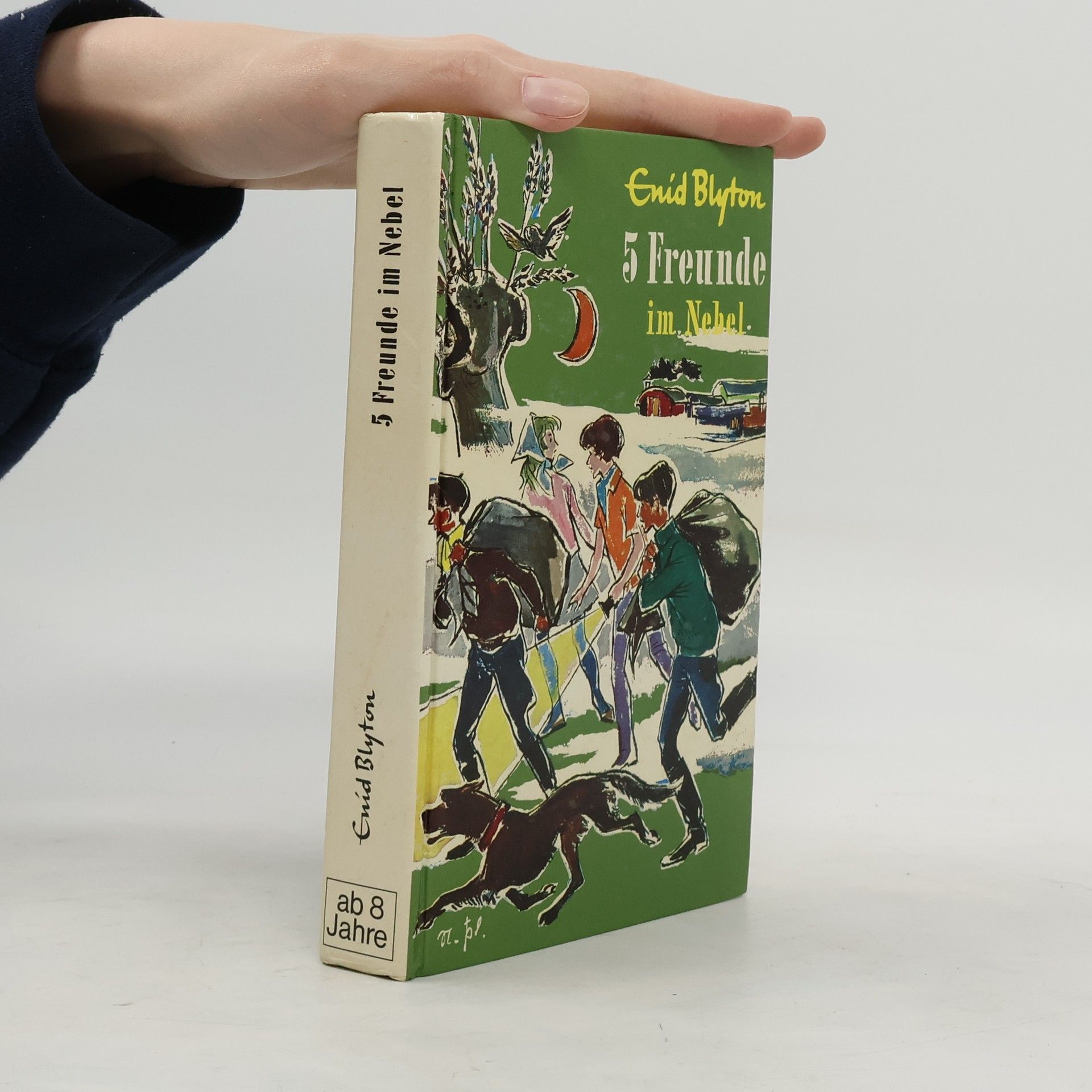 Enid Blyton 5 Freunde im Nebel