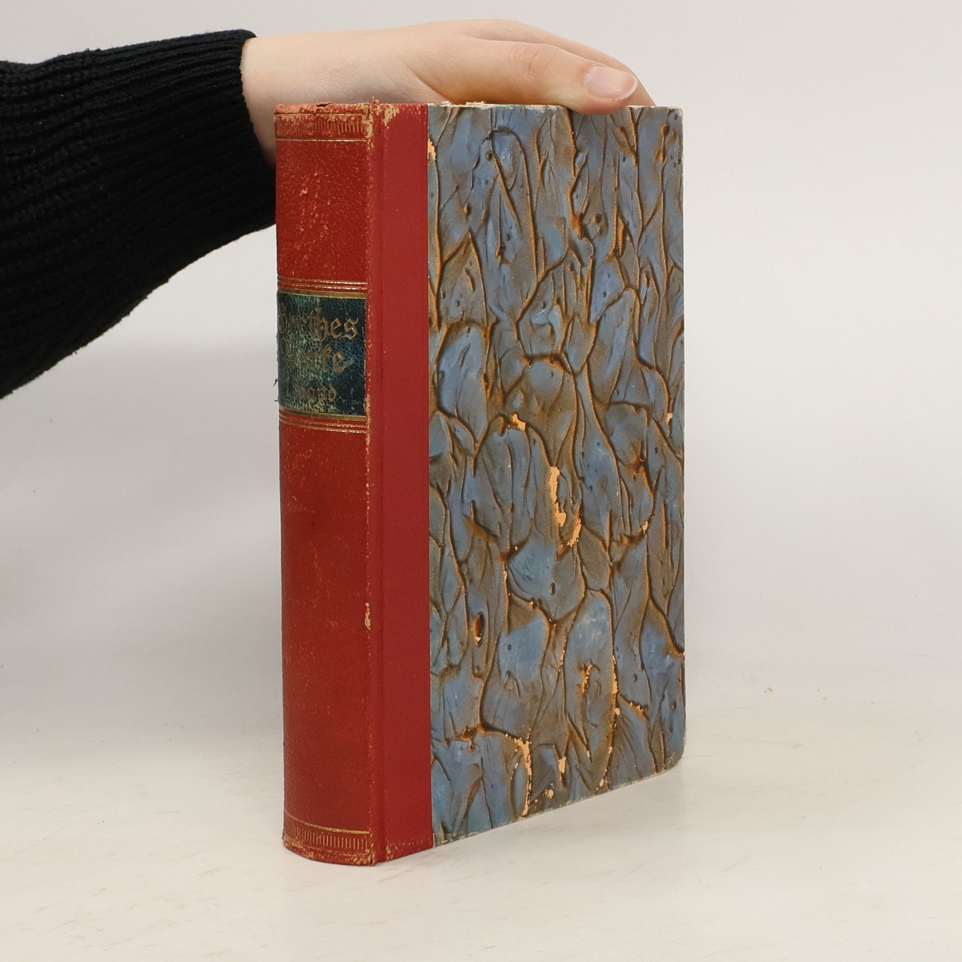 Johann Wolfgang von Goethe Goethes Werke 1