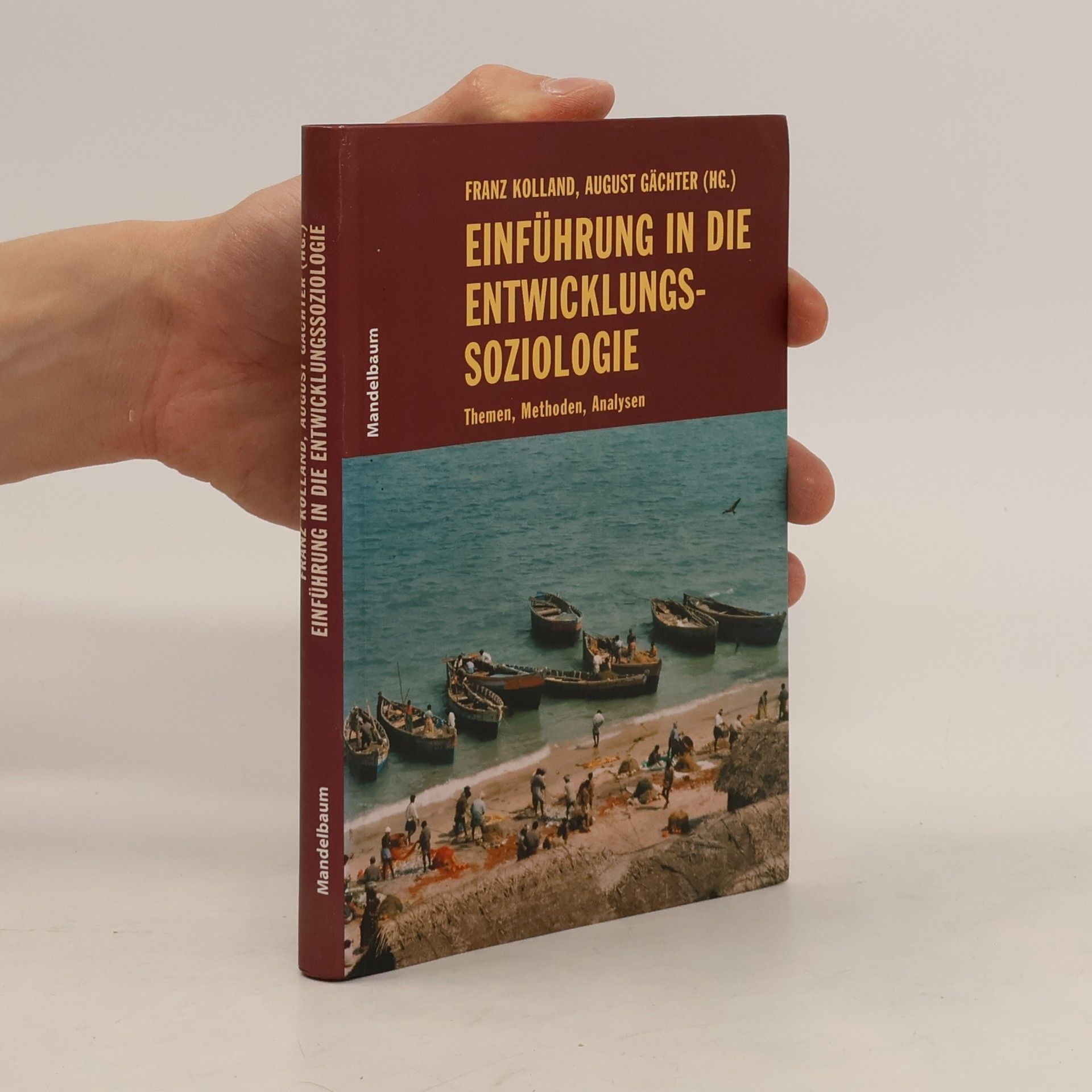 Franz Kolland Einführung in die Entwicklungssoziologie