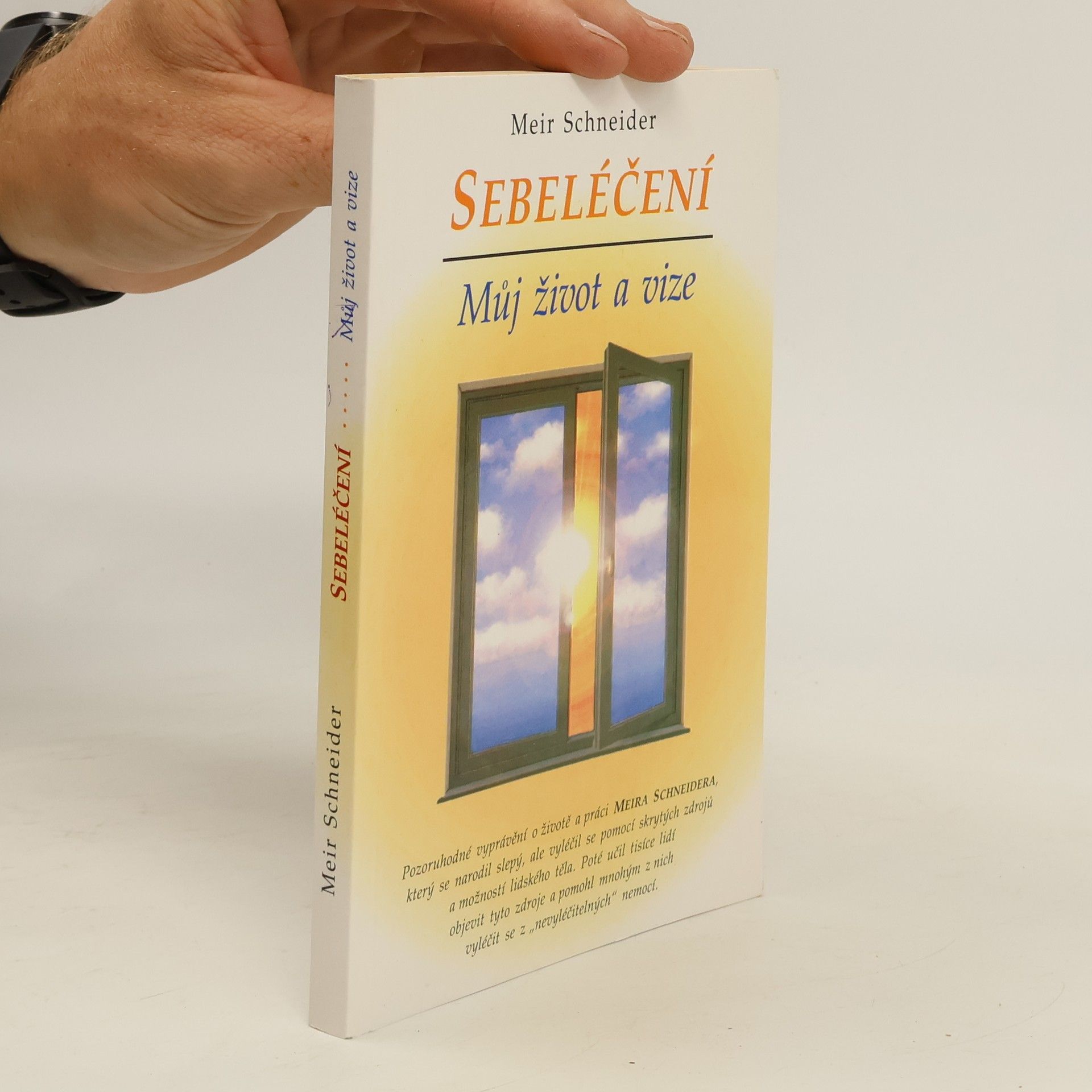 Meir Schneider Sebeléčení. Můj život a vize