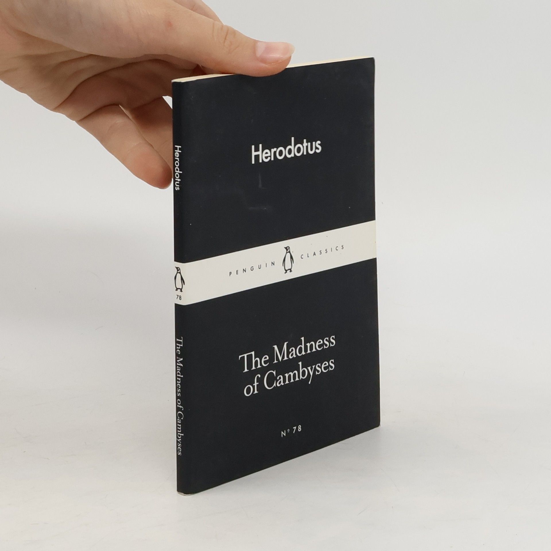 Herodotus The Madness of Cambyses